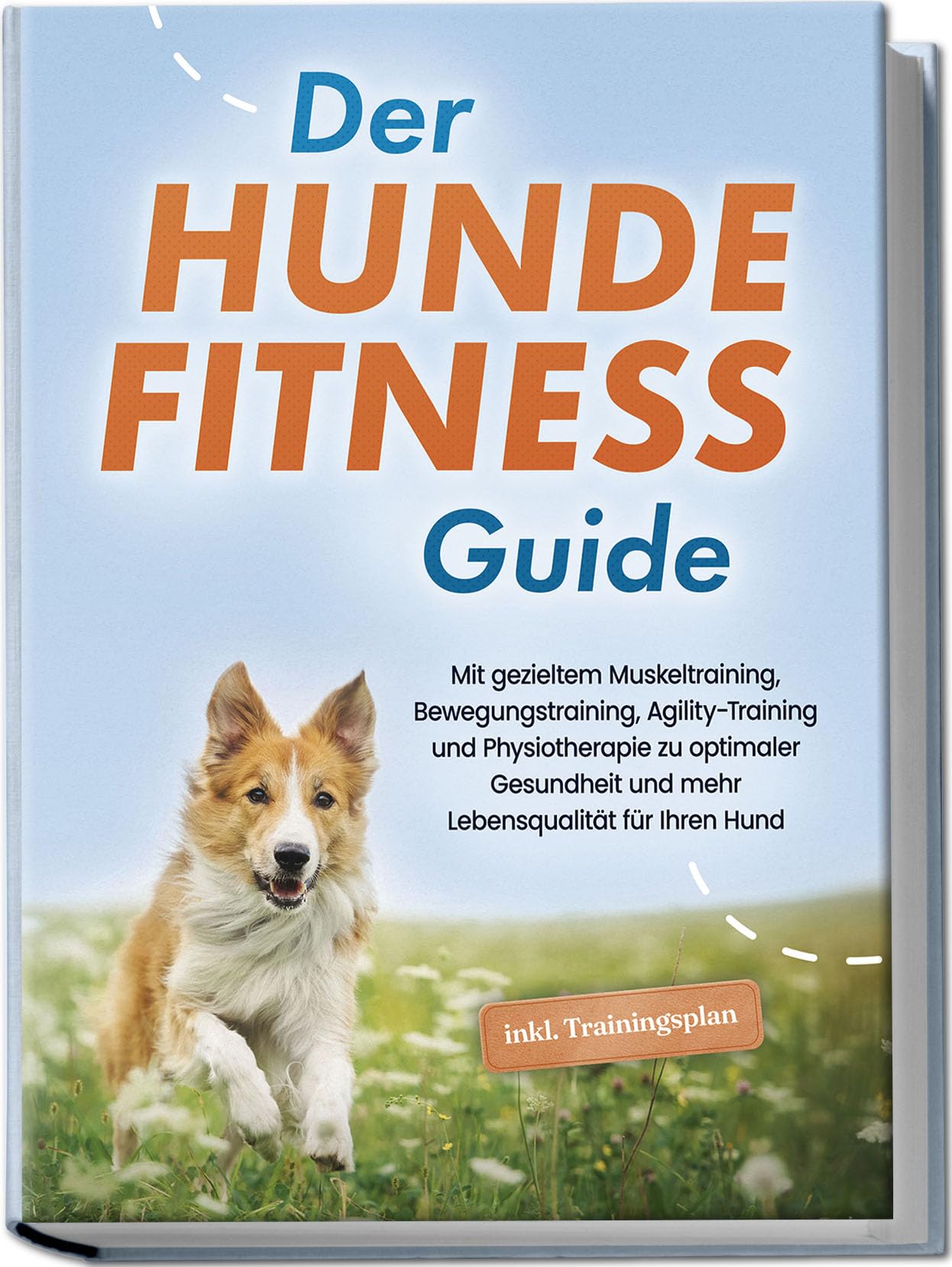 Der Hundefitness Guide: Mit gezieltem Muskeltraining, Bewegungstraining, Agility-Training und Physiotherapie zu optimaler Gesundheit und mehr Lebensqualität für Ihren Hund - inkl. Trainingsplan Pets
