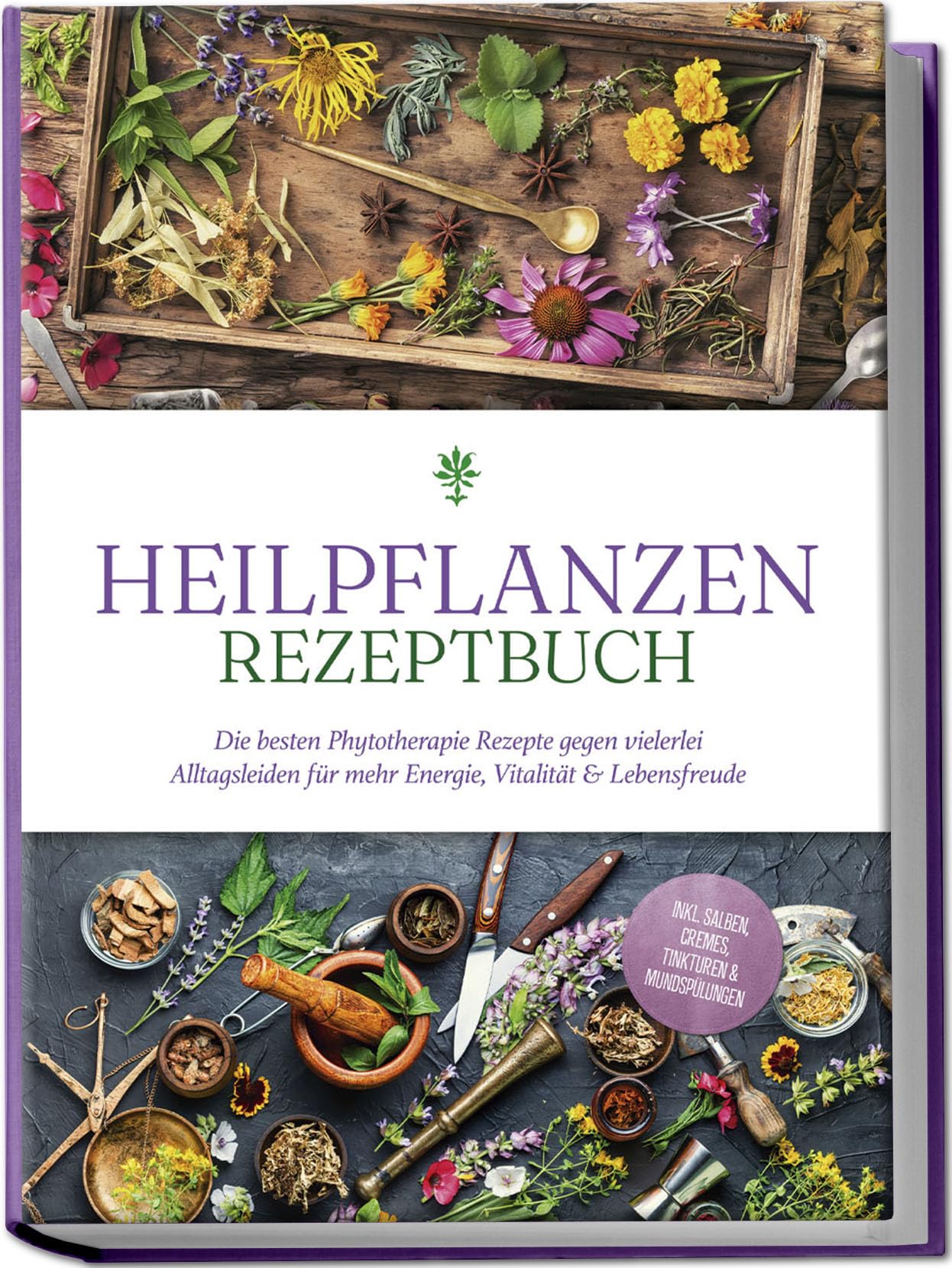 Heilpflanzen Rezeptbuch: Die besten Phytotherapie Rezepte gegen vielerlei Alltagsleiden für mehr Energie, Vitalität & Lebensfreude - inkl. Salben, Cremes, Tinkturen & Mundspülungen Leisure, Home & Garden