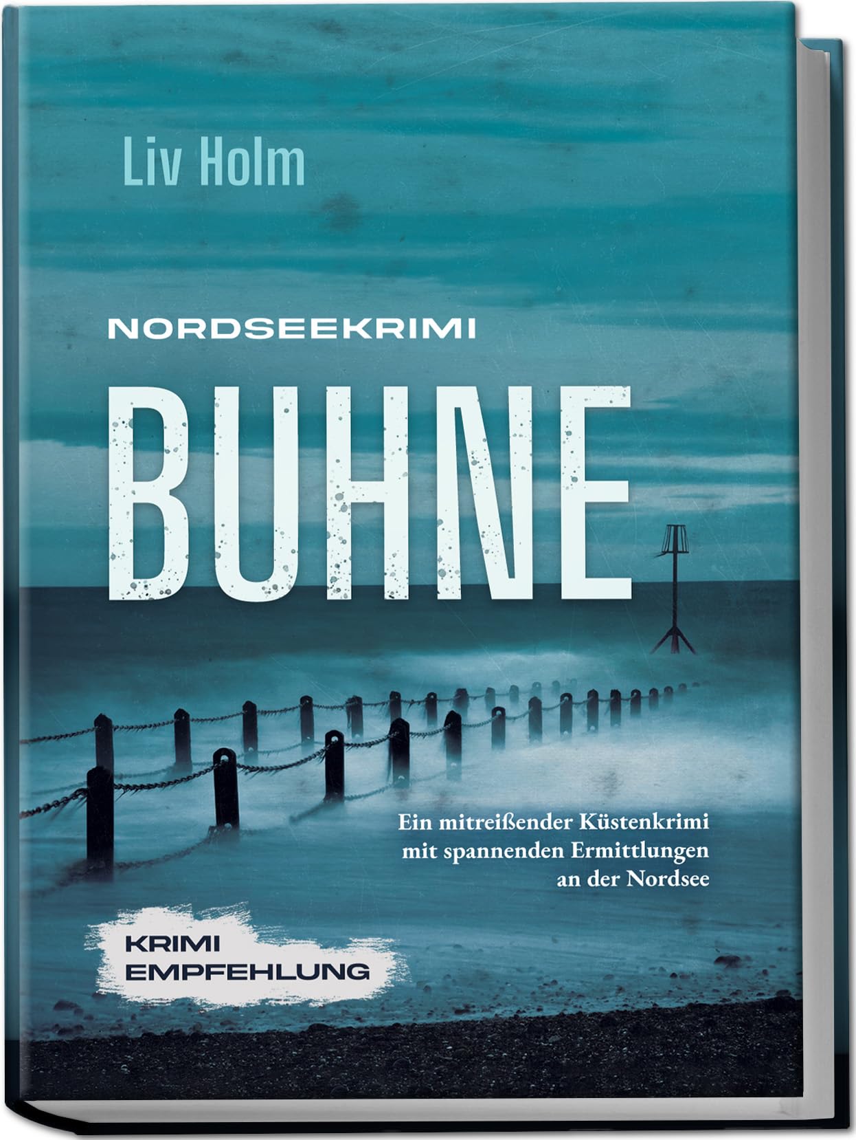 Nordseekrimi Buhne: Ein mitreißender Küstenkrimi mit spannenden Ermittlungen an der Nordsee - Krimi Empfehlung Social Sciences