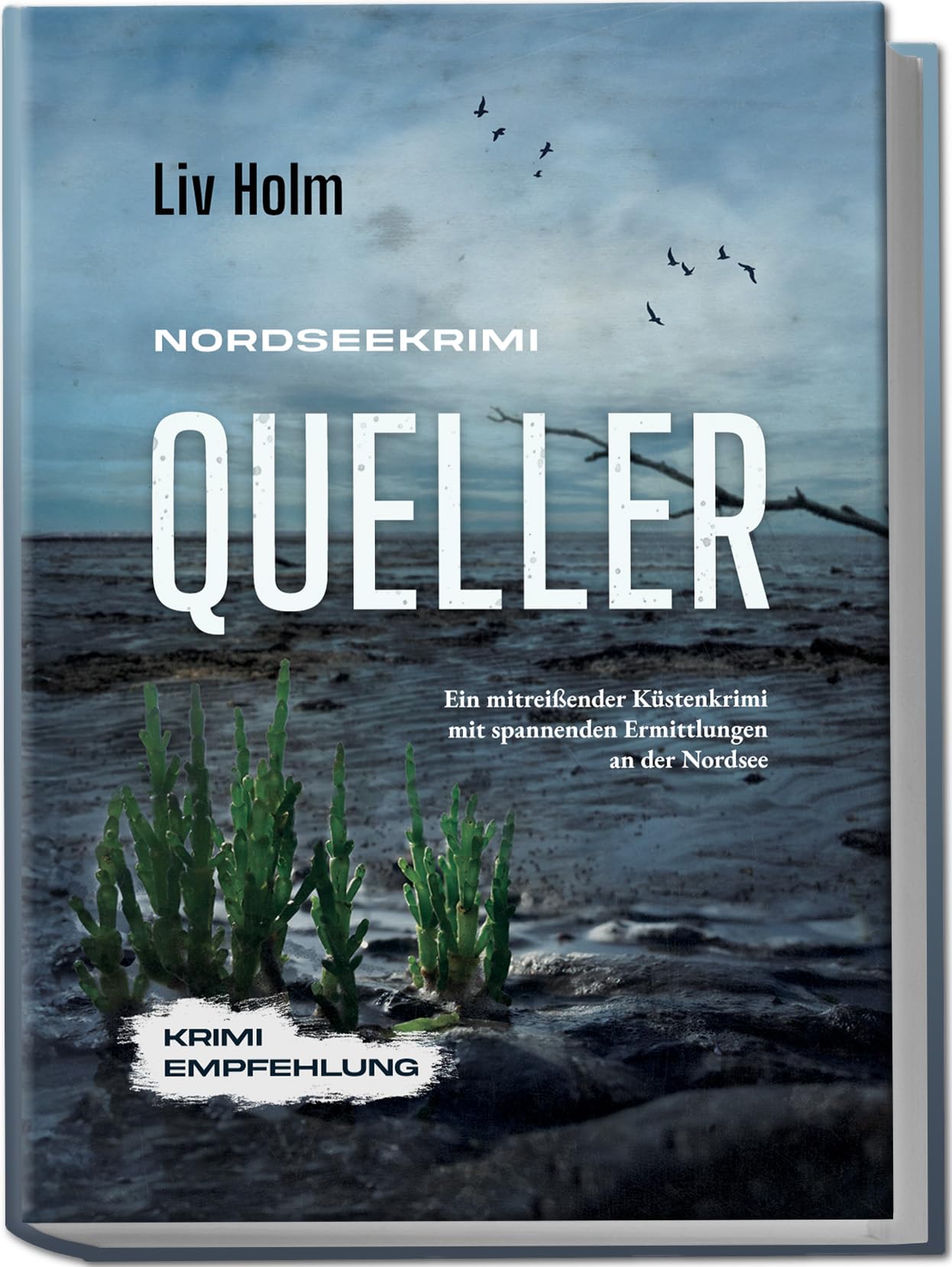 Nordseekrimi Queller Social Sciences