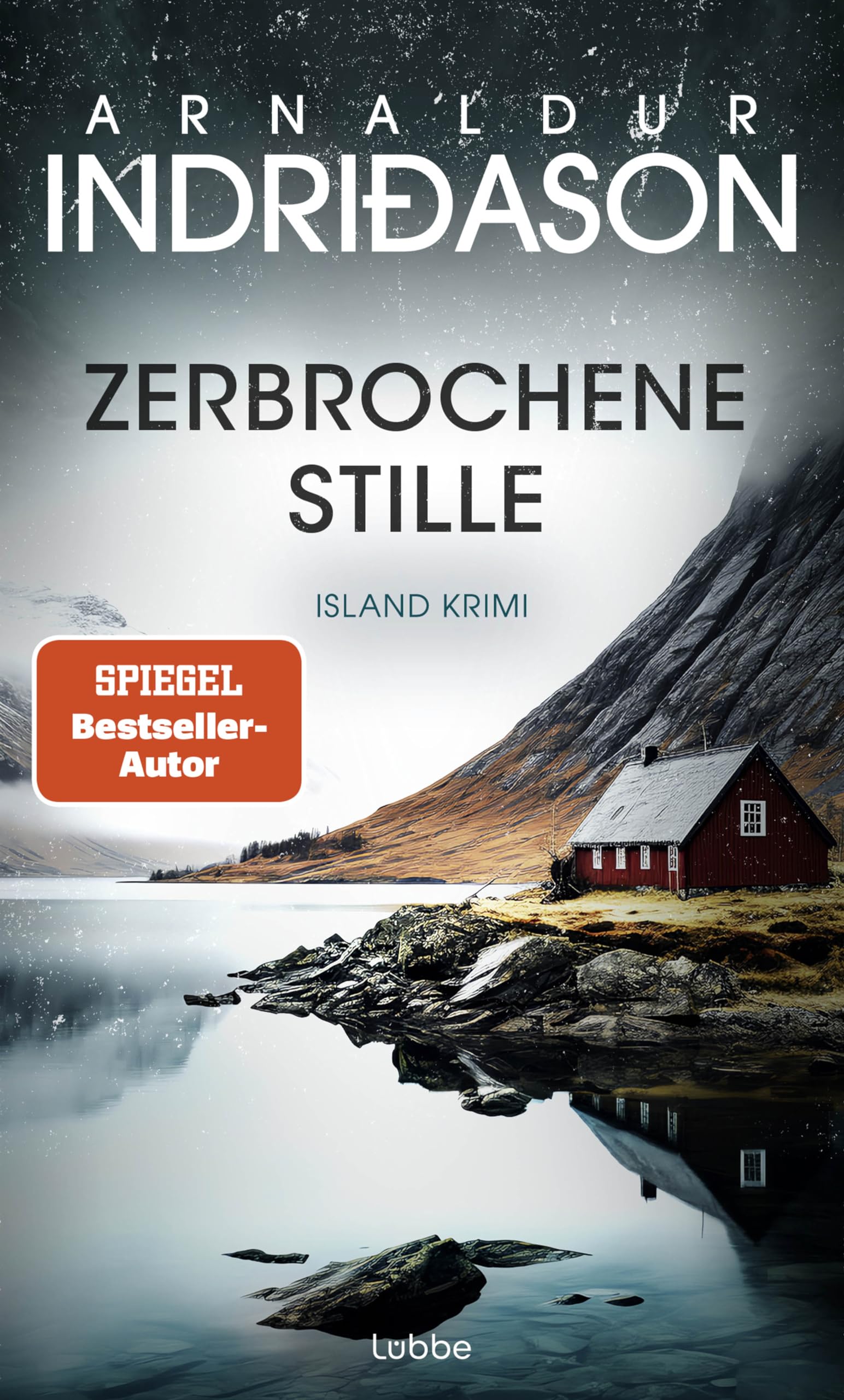 Zerbrochene Stille Contemporary literature Books