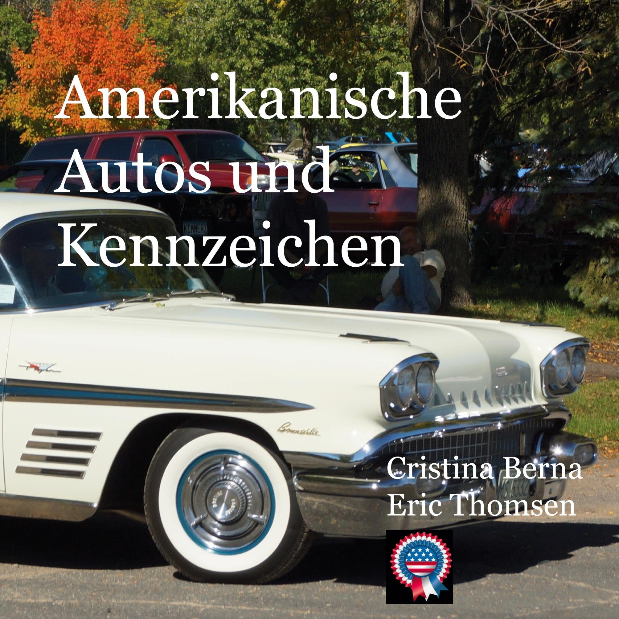 Amerikanische Autos und Kennzeichen Social Sciences