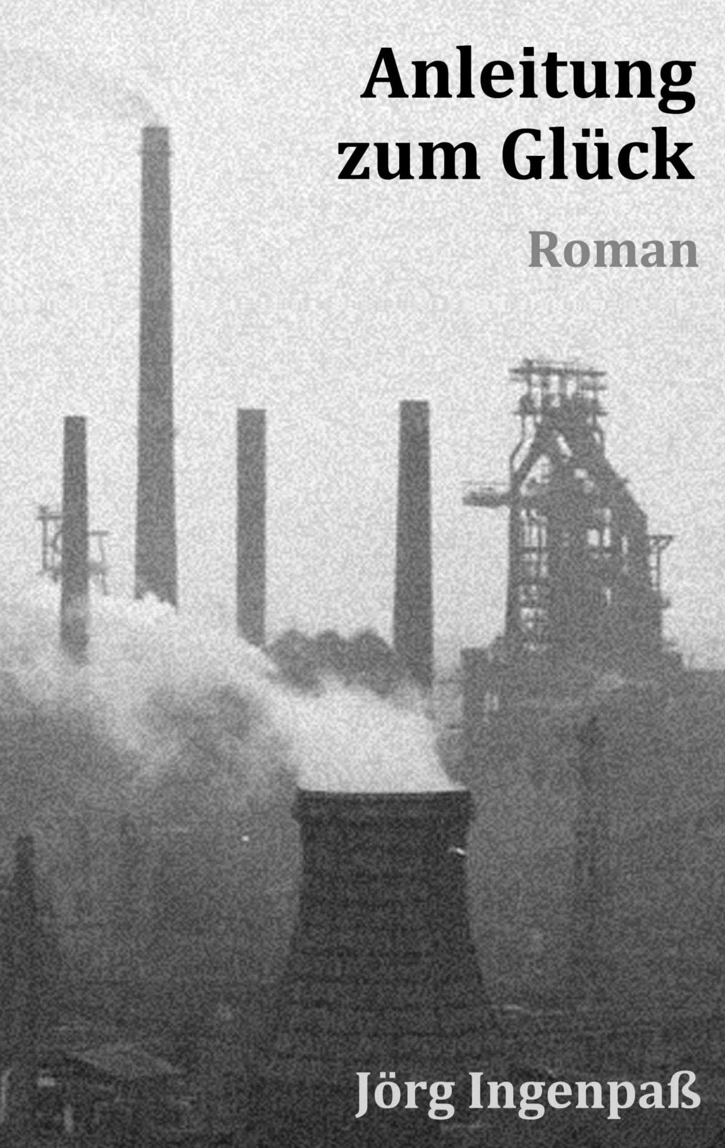 Anleitung zum Glück: Roman Contemporary literature