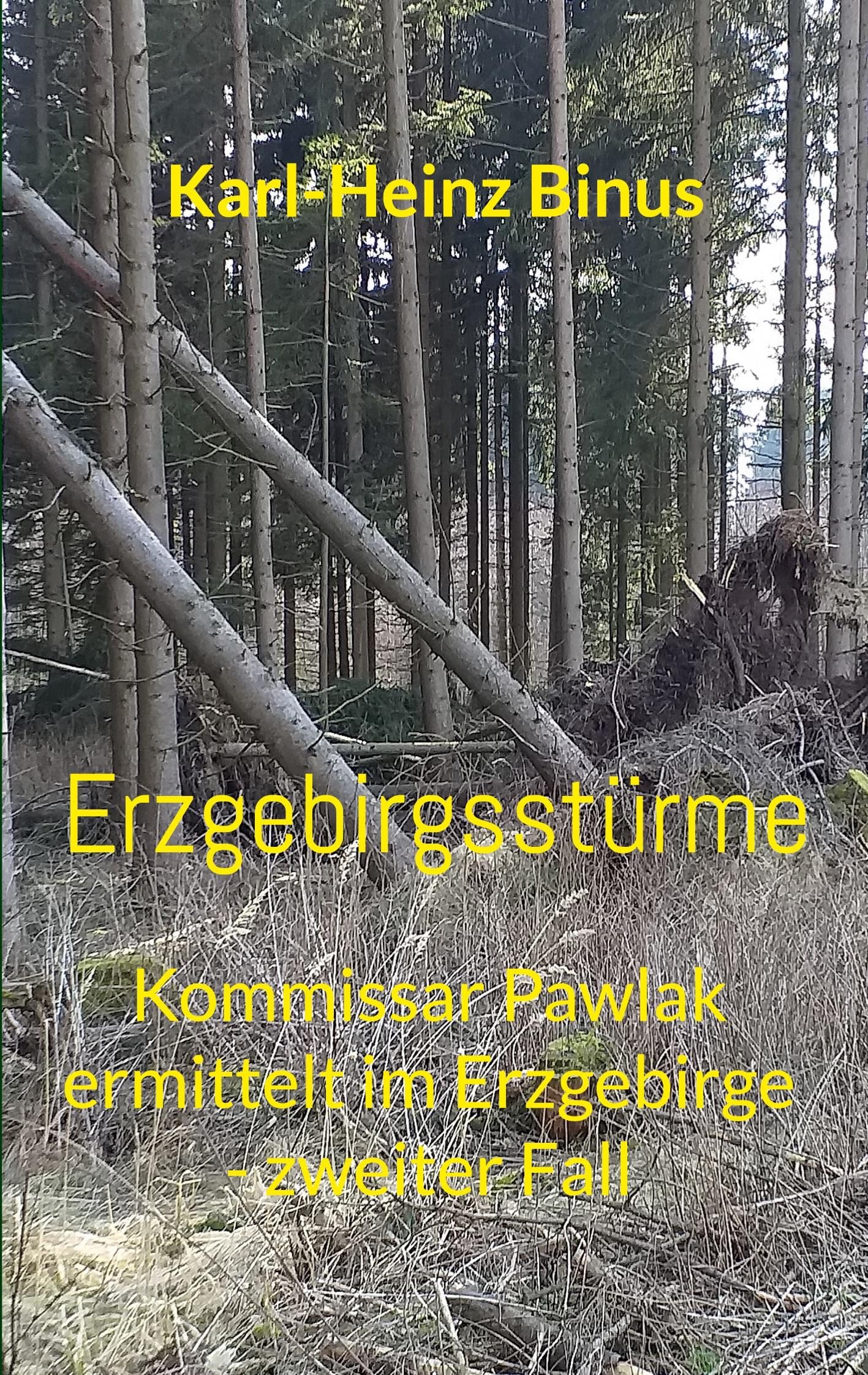 Erzgebirgsstürme: Kommissar Pawlak ermittelt im Erzgebirge - zweiter Fall Contemporary literature