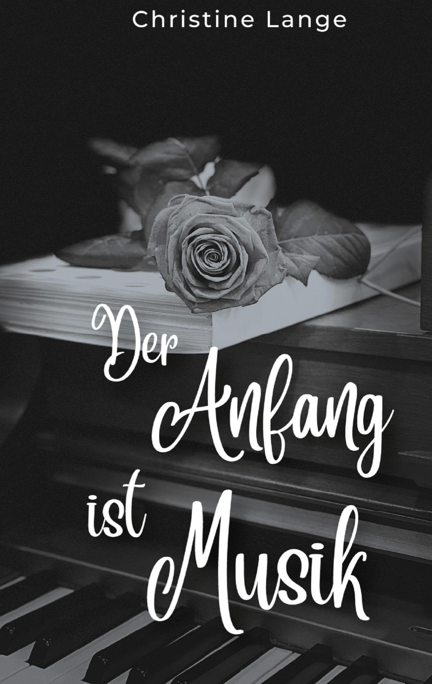 Der Anfang ist Musik (Svea und Timo) Contemporary literature