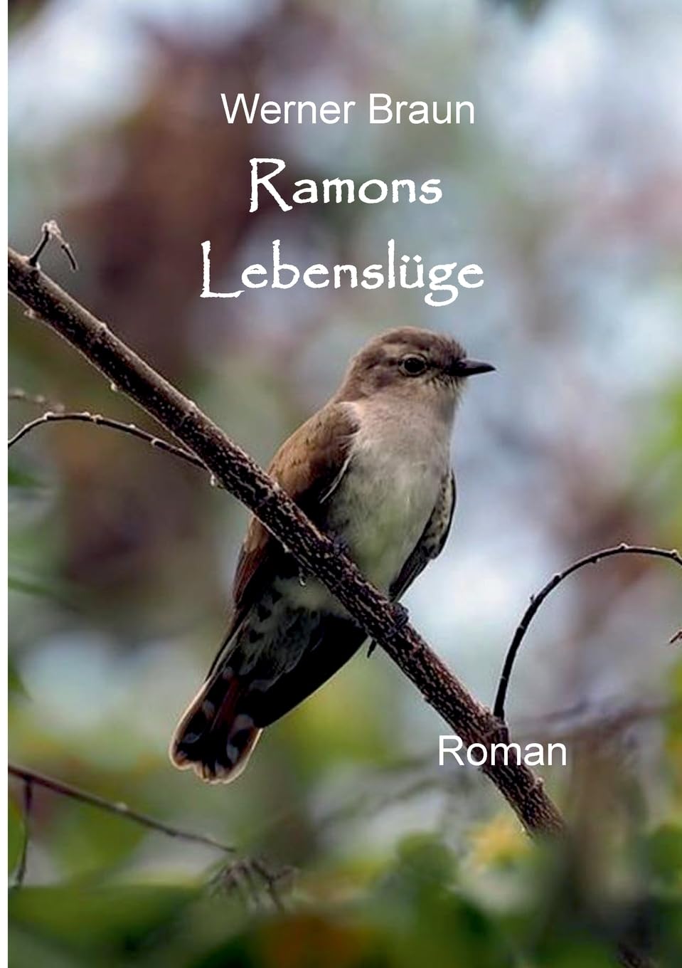Ramons Lebenslüge Contemporary literature Books