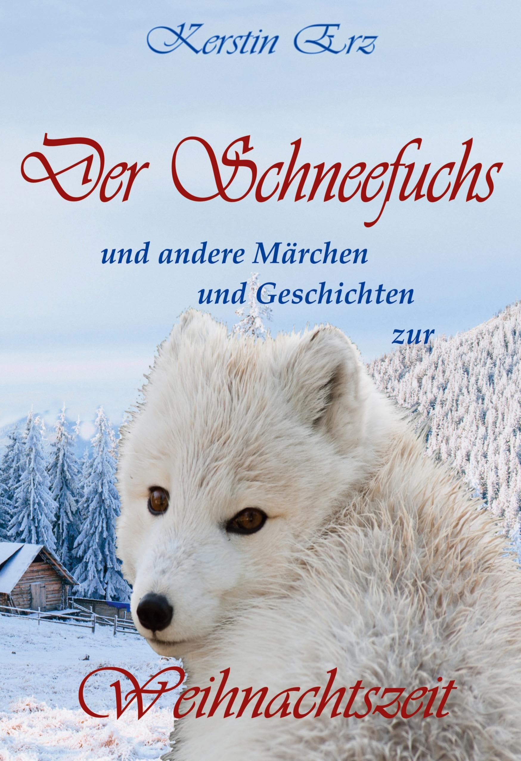 Der Schneefuchs: Märchen und Geschichten zur Weihnachtszeit Essays & Short Stories