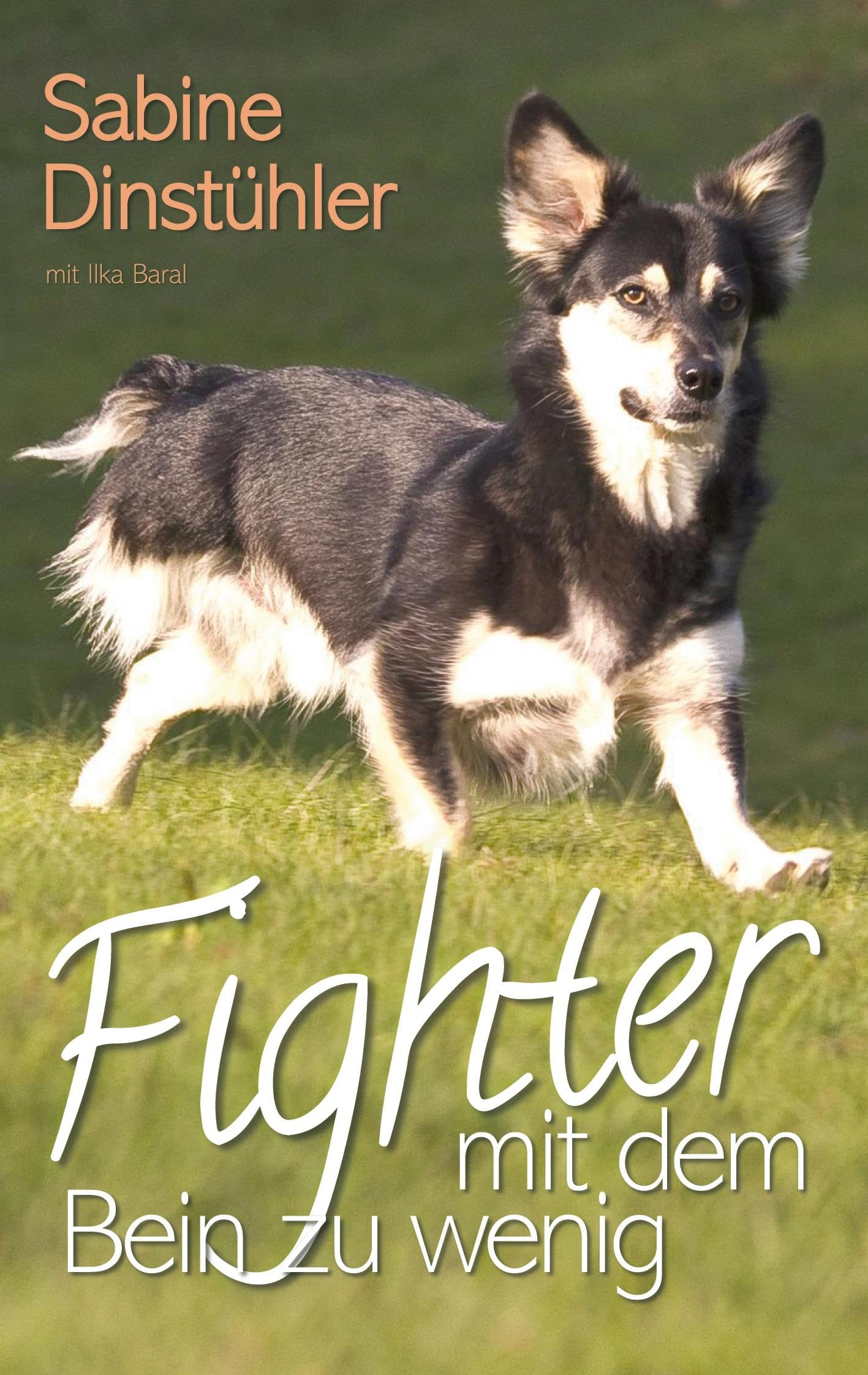 Fighter mit dem Bein zu wenig Personalities