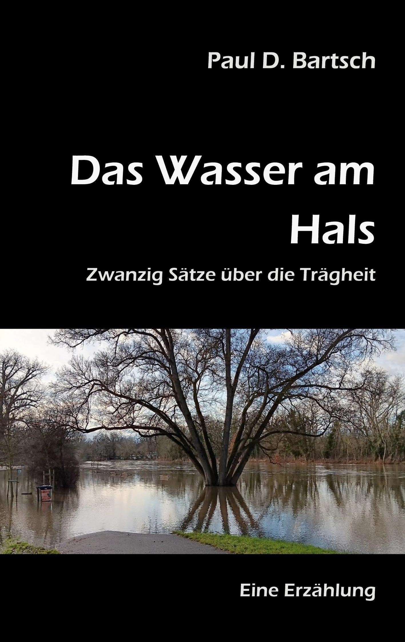 Das Wasser am Hals: Zwanzig Sätze über die Trägheit Contemporary literature