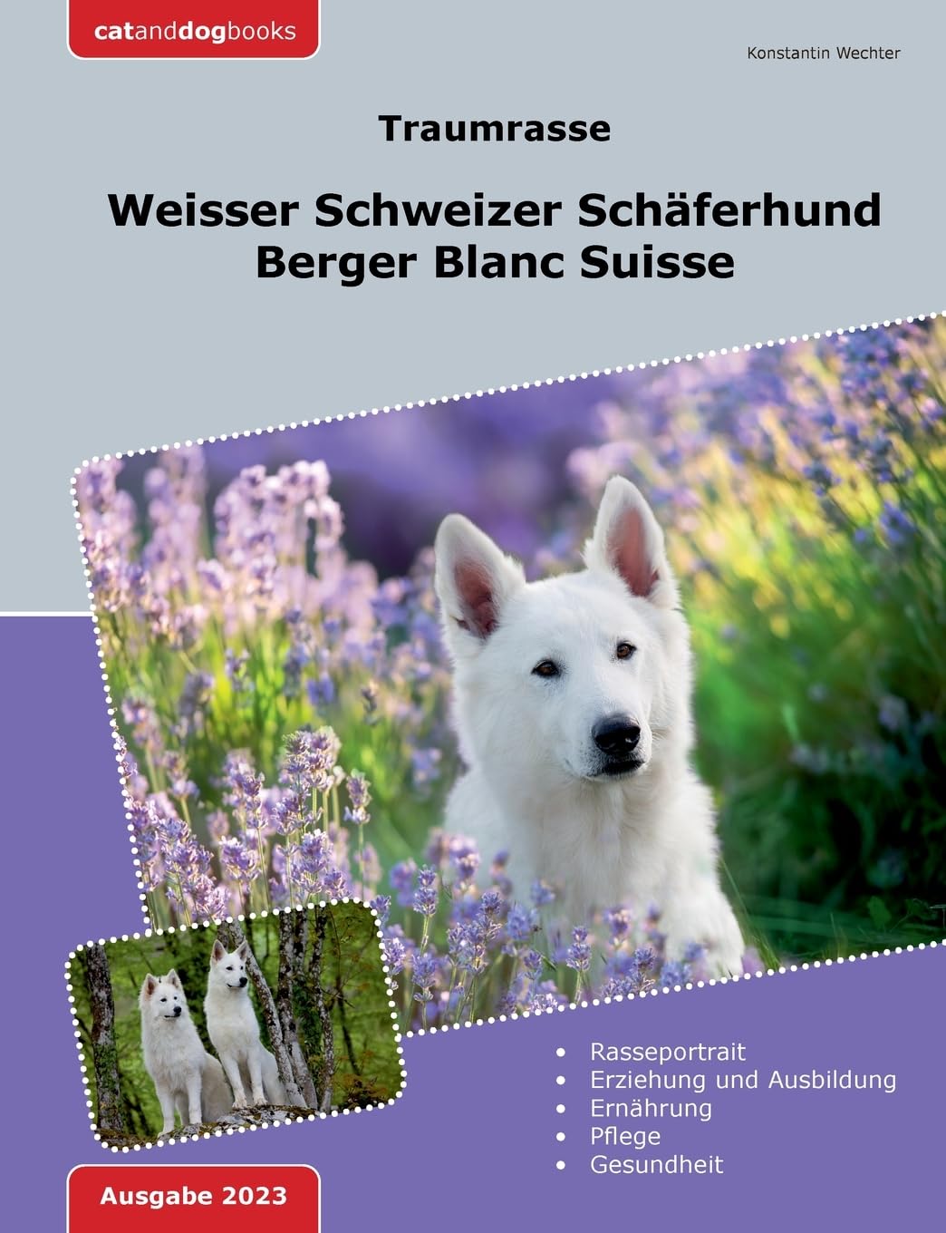 Traumrasse: Weisser Schweizer Schäferhund Pets