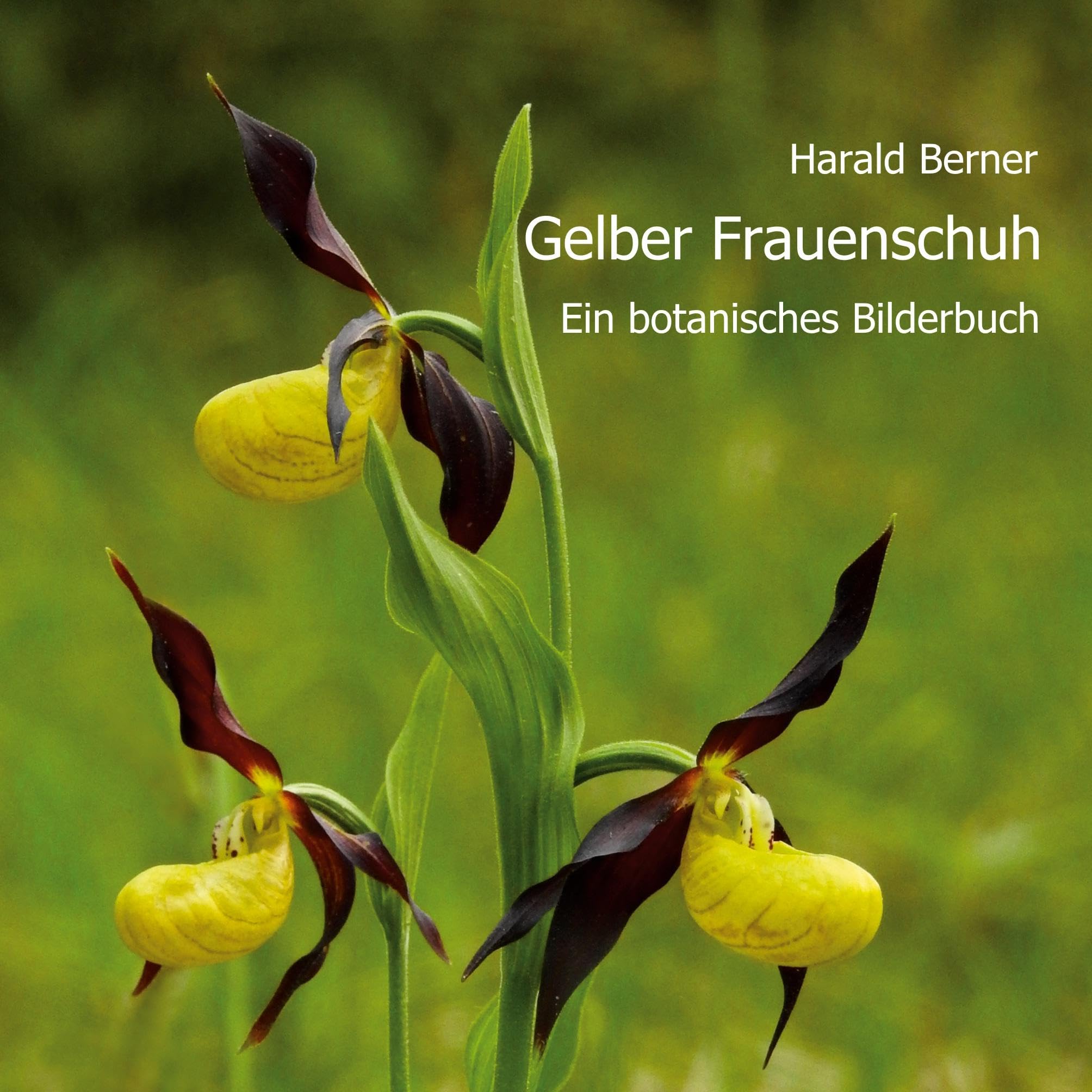 Gelber Frauenschuh: Ein botanisches Bilderbuch Architecture