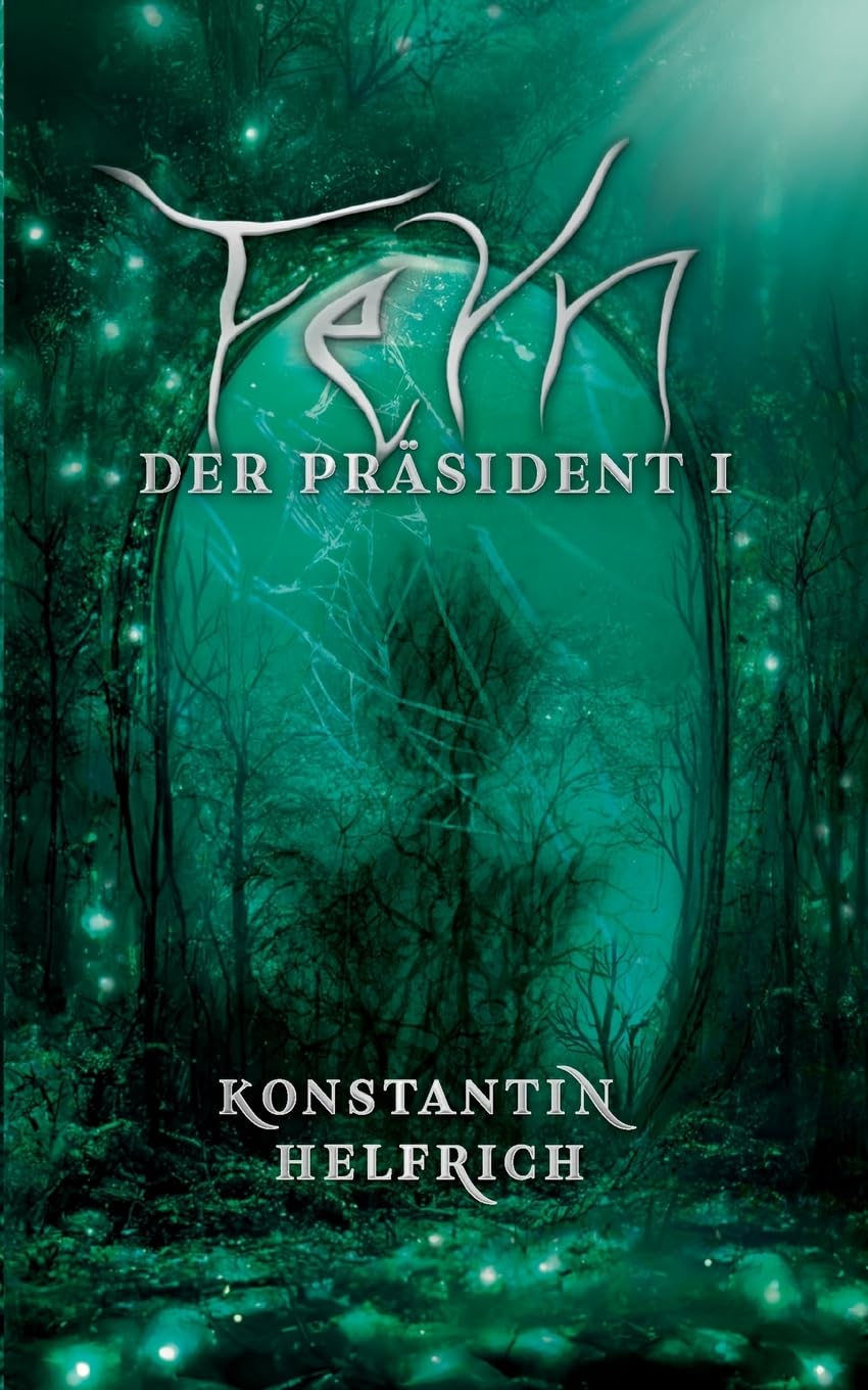 Feyn: Der Präsident 1 Historical Fiction