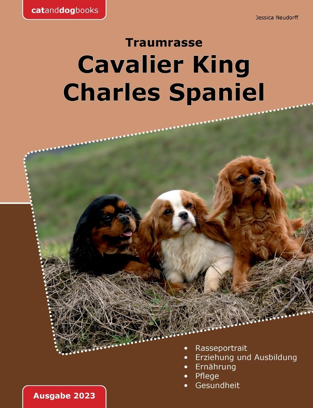 Traumrasse: Cavalier King Charles Spaniel Pets