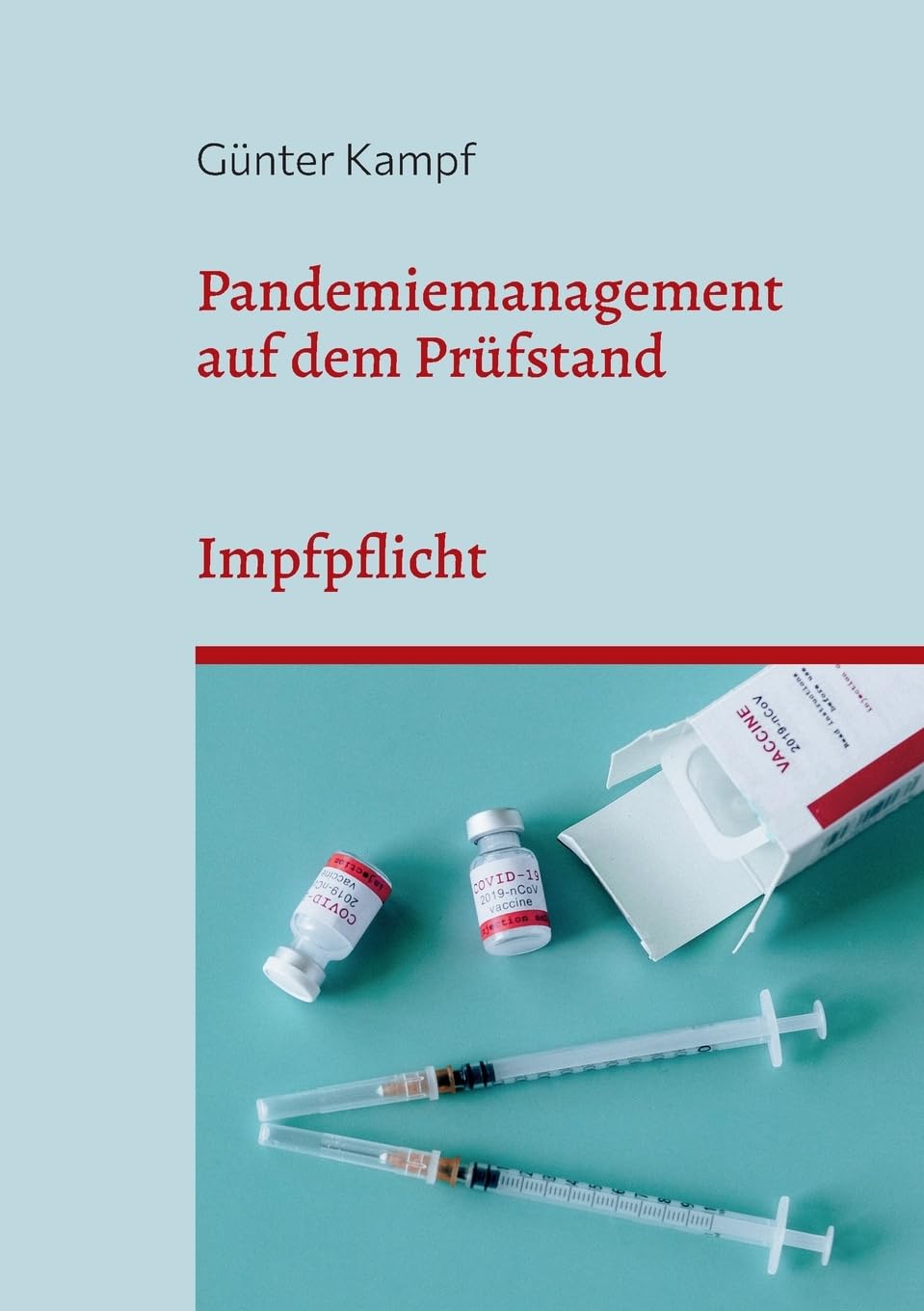 Pandemiemanagement auf dem Prüfstand book