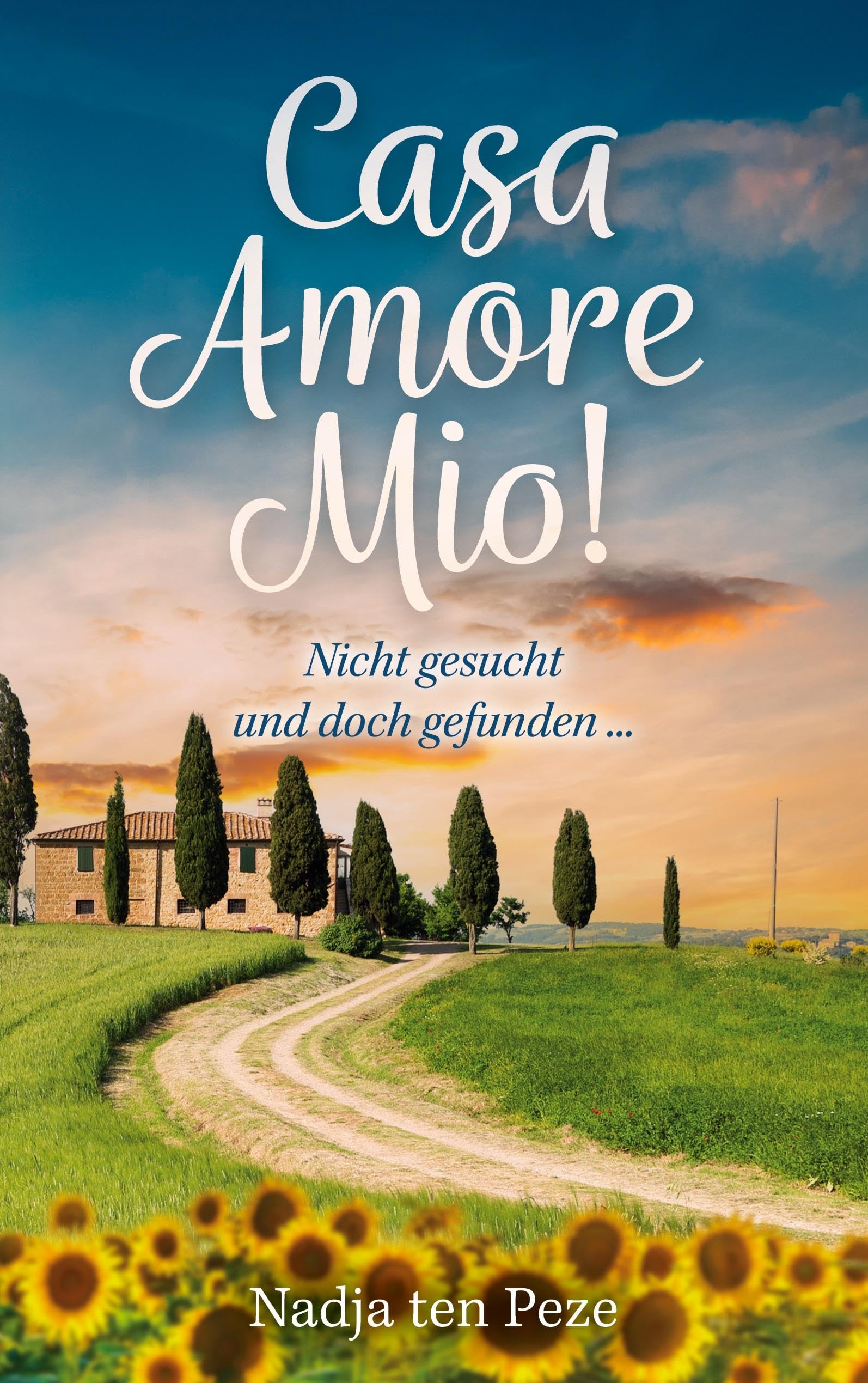 Casa Amore Mio! Contemporary literature Books