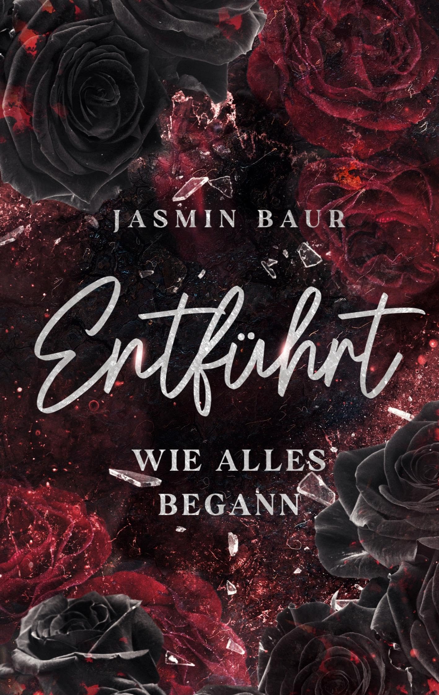 Entführt: Wie alles begann (Dark Reverse Harem) book