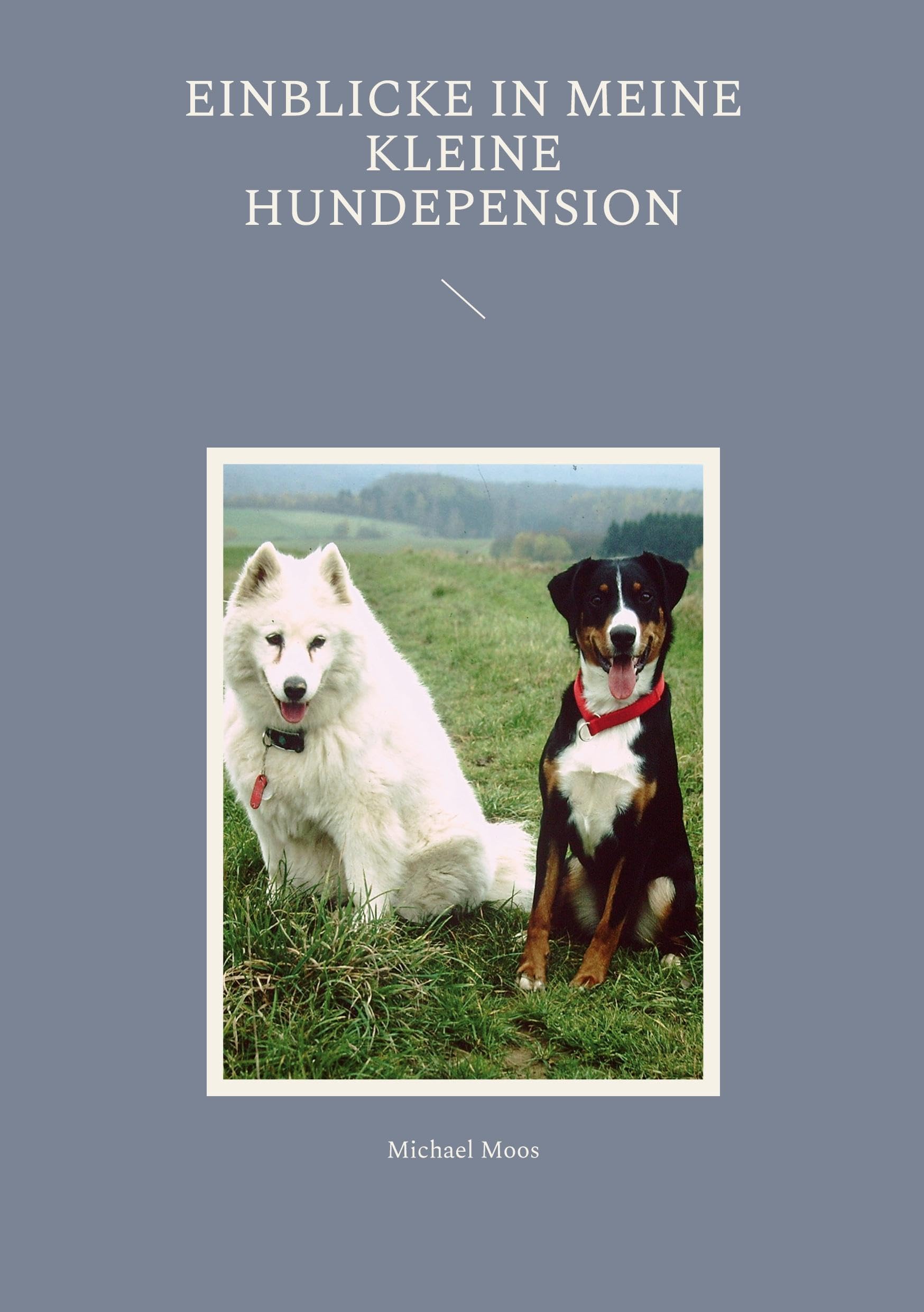 Einblicke in meine kleine Hundepension Garden & Plants