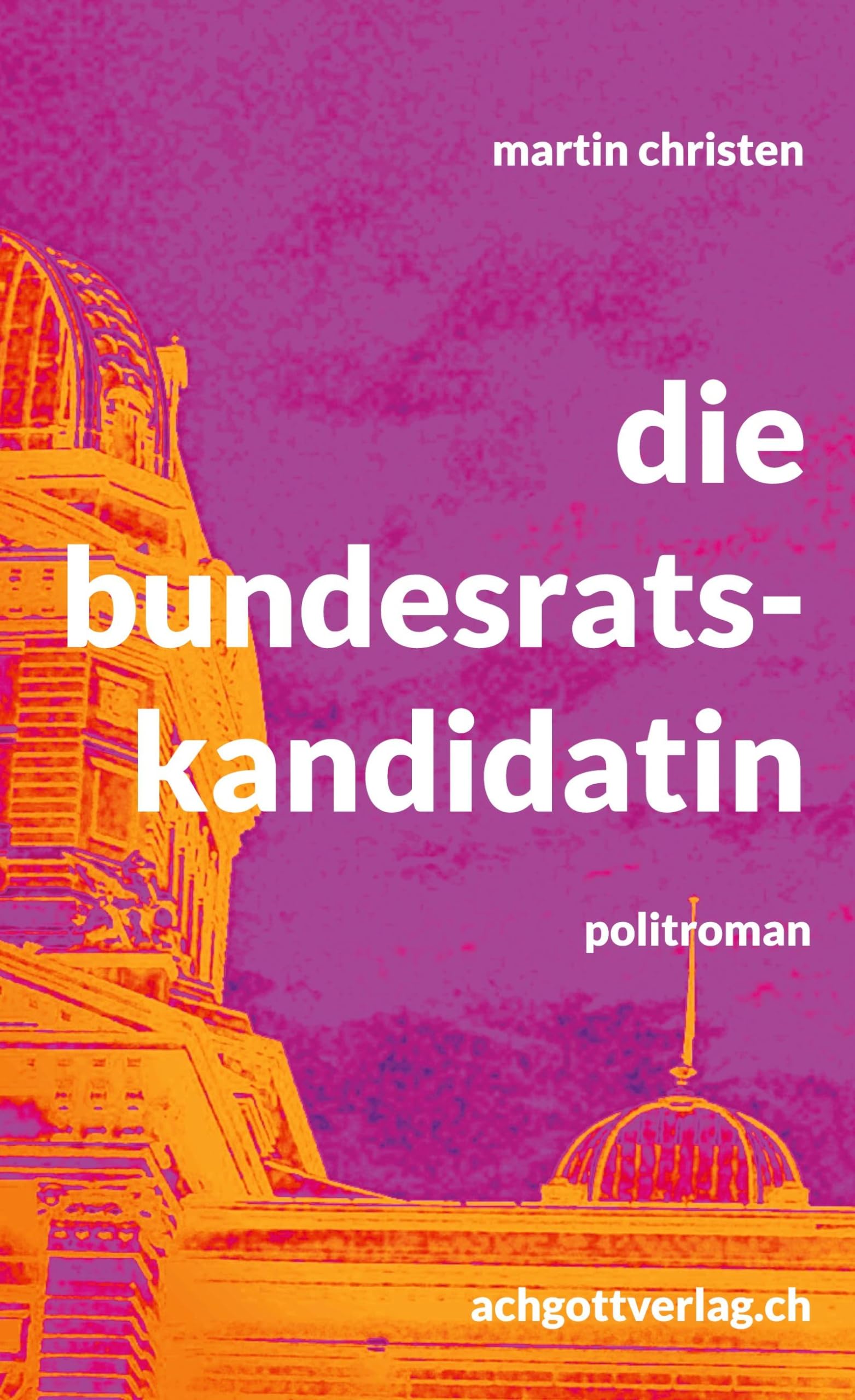 die bundesratskandidatin: politroman Contemporary literature