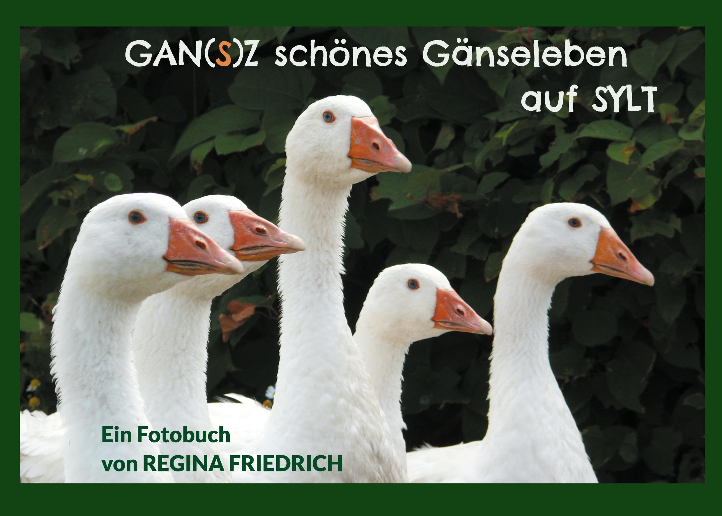 GAN(S)Z schönes Gänseleben auf SYLT Architecture