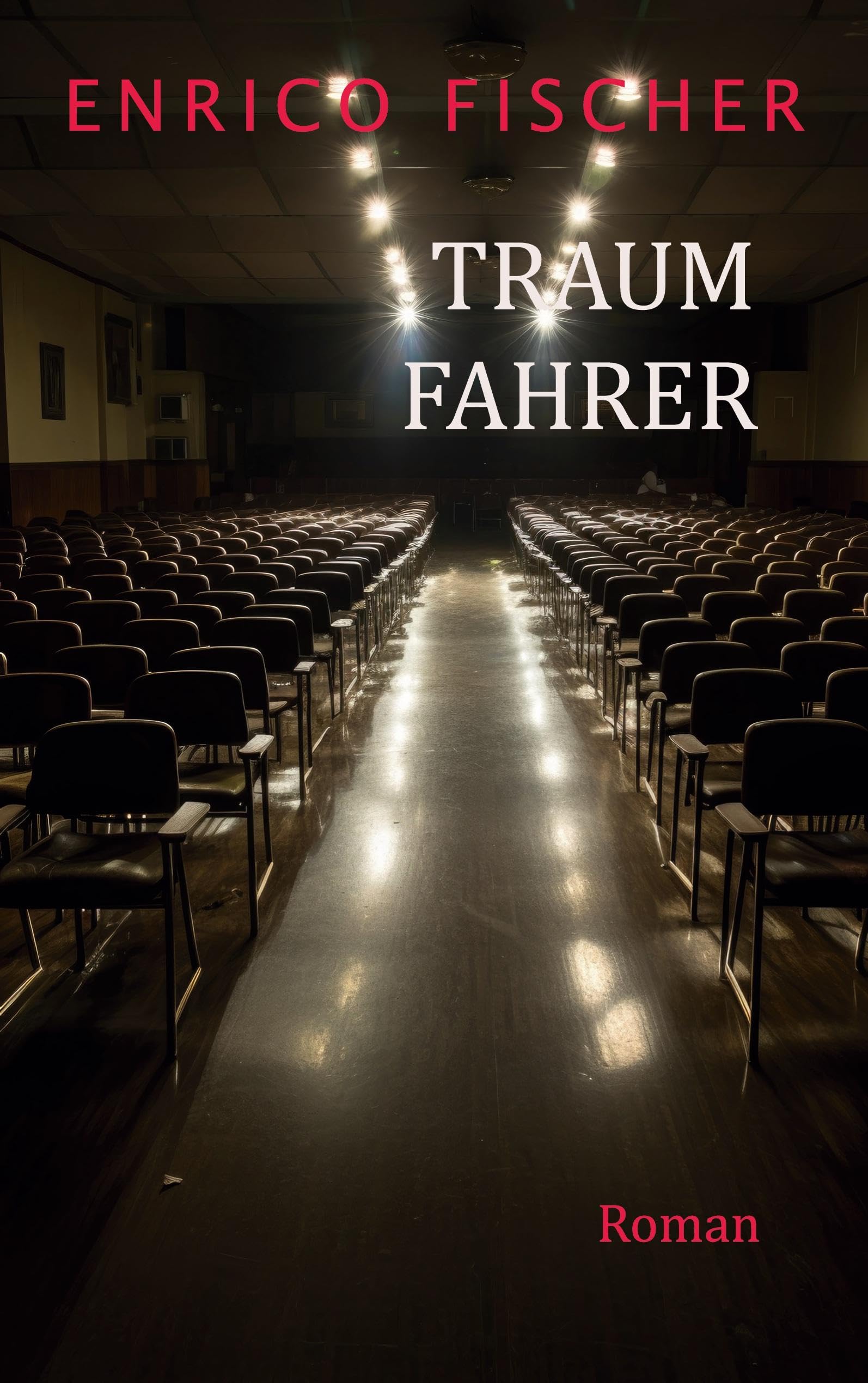 Traumfahrer: Roman Contemporary literature
