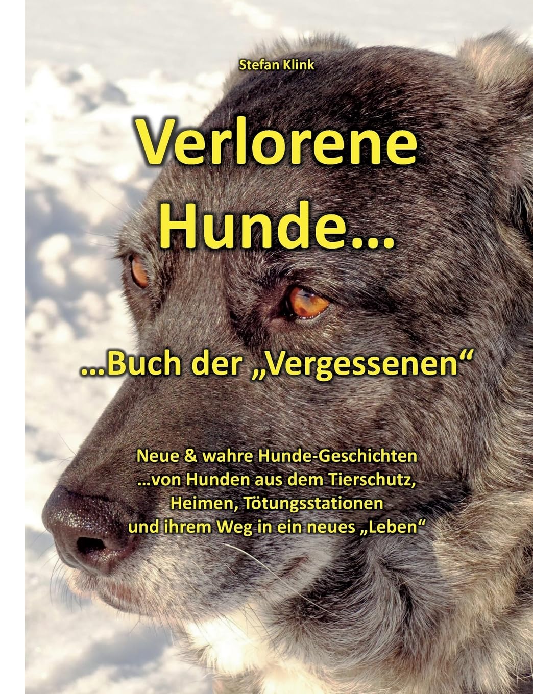 Verlorene Hunde: ...Buch der "Vergessenen" (Hund mit Streifen) Mathematics