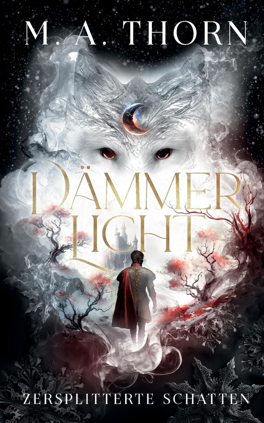 Dämmerlicht: Zersplitterte Schatten (Drayke-Saga) Historical Fiction