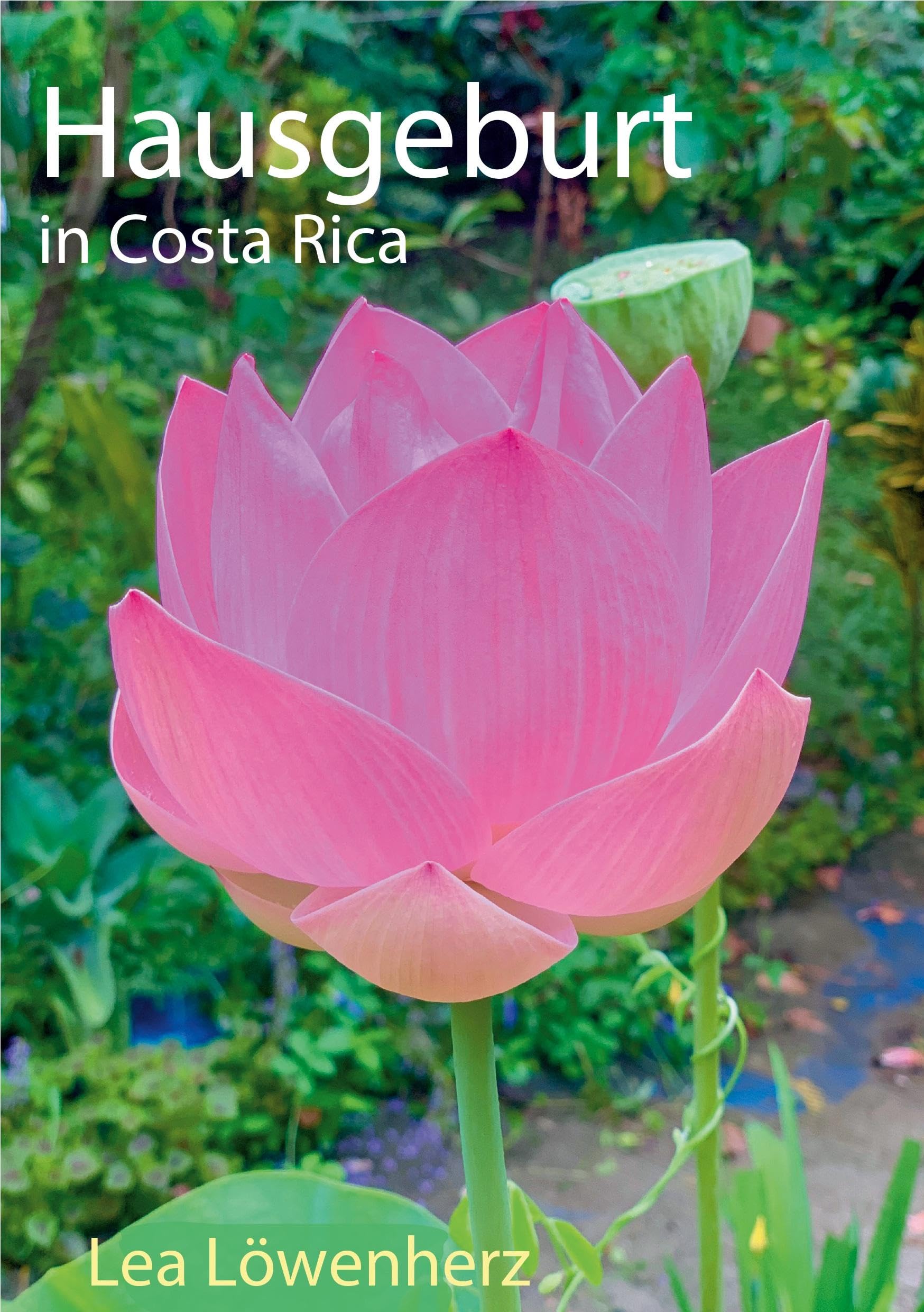 Hausgeburt in Costa Rica book