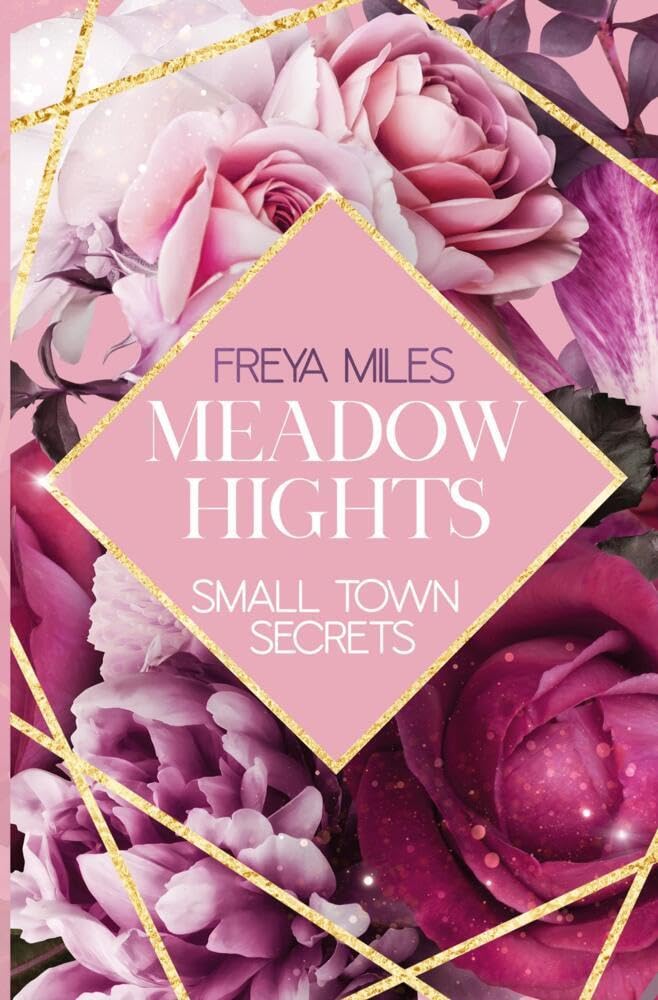 MEADOW HIGHTS: Small Town Secrets Contemporary literature Books