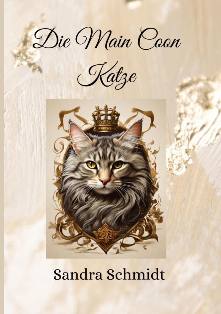 Die Main Coon Katze: alles was Sie über diese Rasse wissen müssen Pets