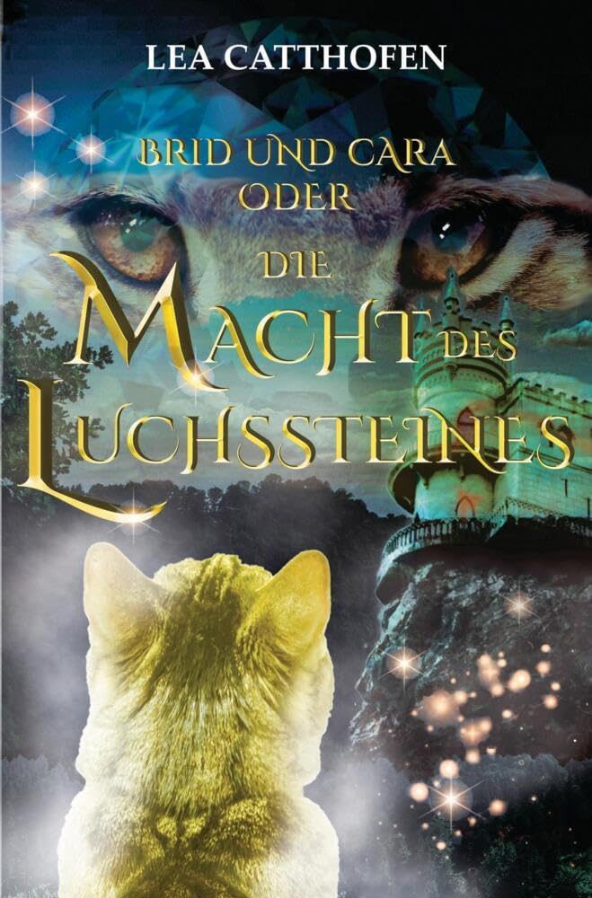 Brid und Cara oder Die Macht des Luchssteines Parents & Children Books