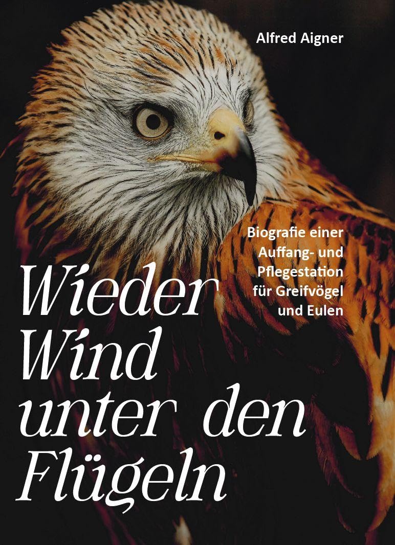 Wieder Wind unter den Flügeln Science