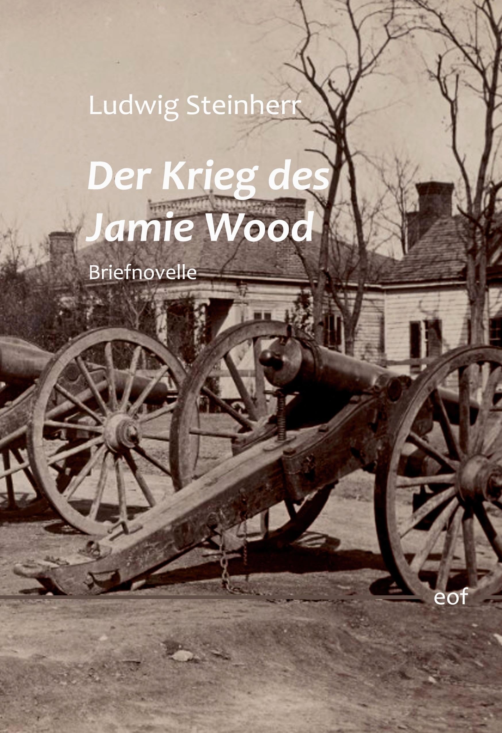 Der Krieg des Jamie Wood: Briefnovelle (edition offenes feld) Contemporary literature