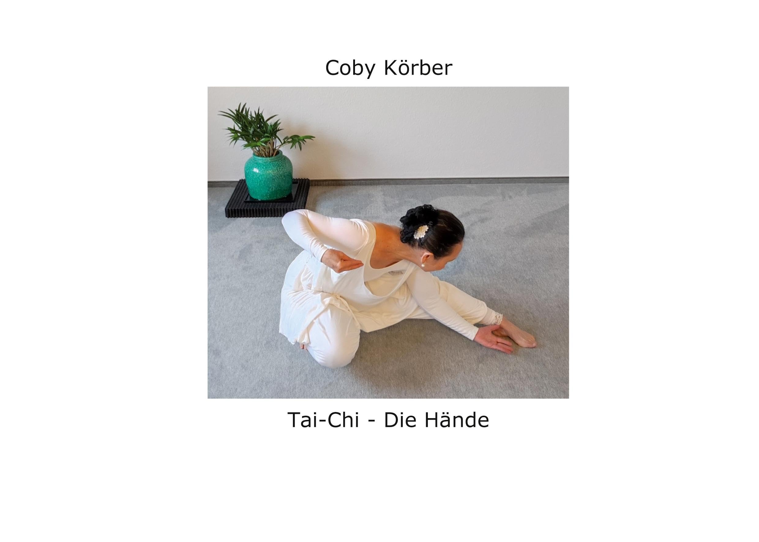 Tai-Chi - Die Hände: Wir denken, weil wir Hände haben Philosophy