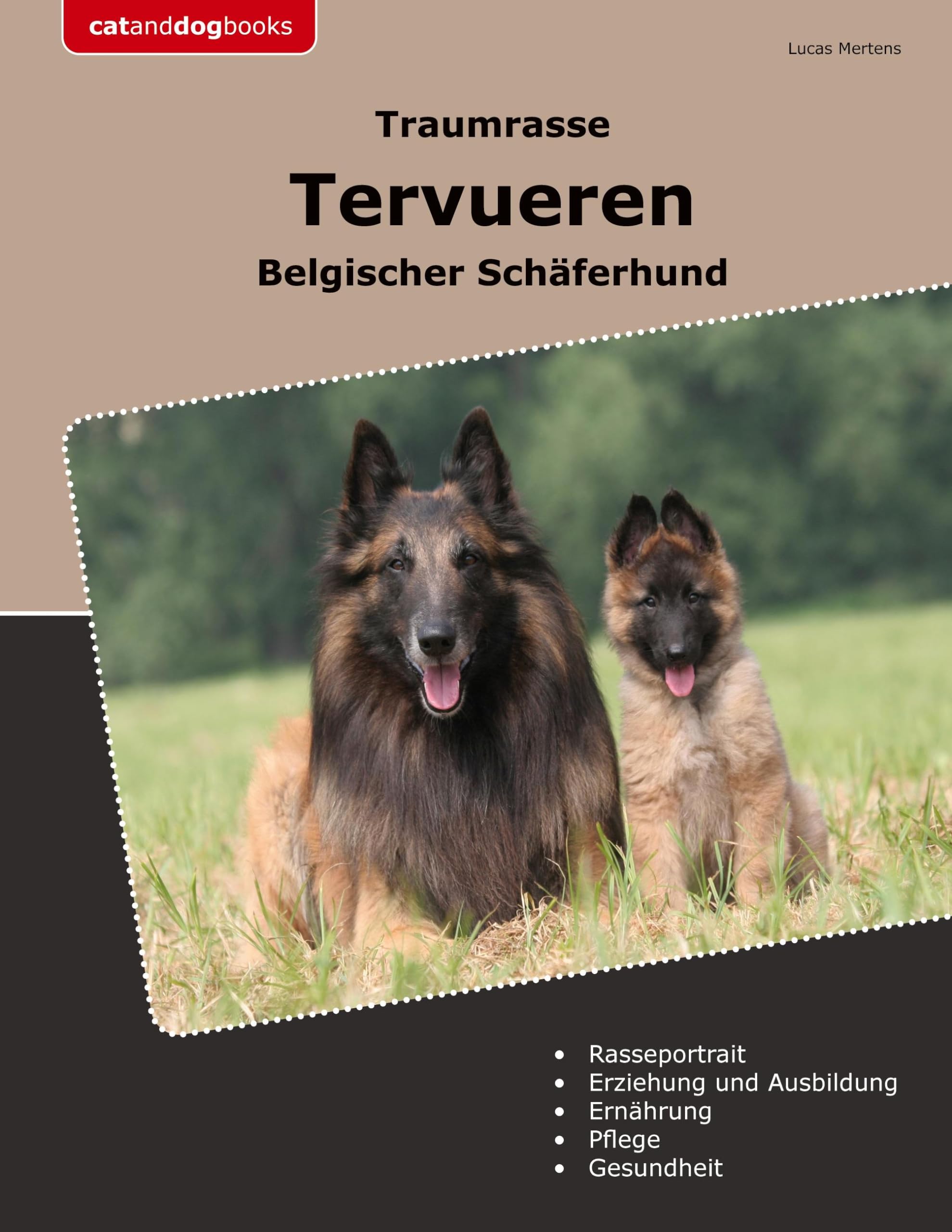 Traumrasse Tervueren: Belgischer Schäferhund Pets