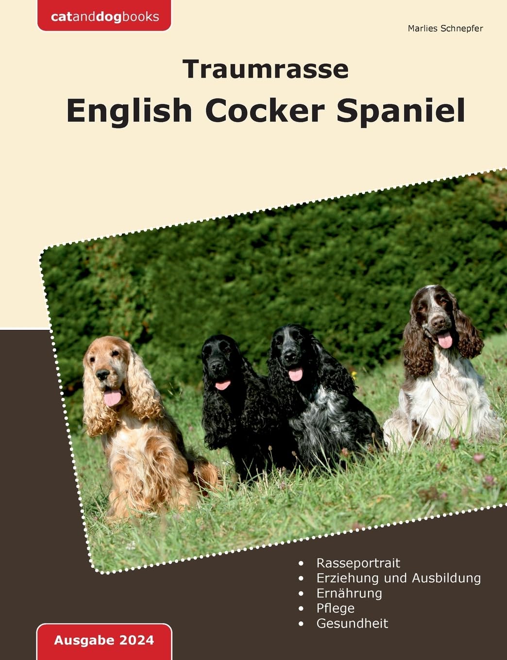 Traumrasse: English Cocker Spaniel Pets