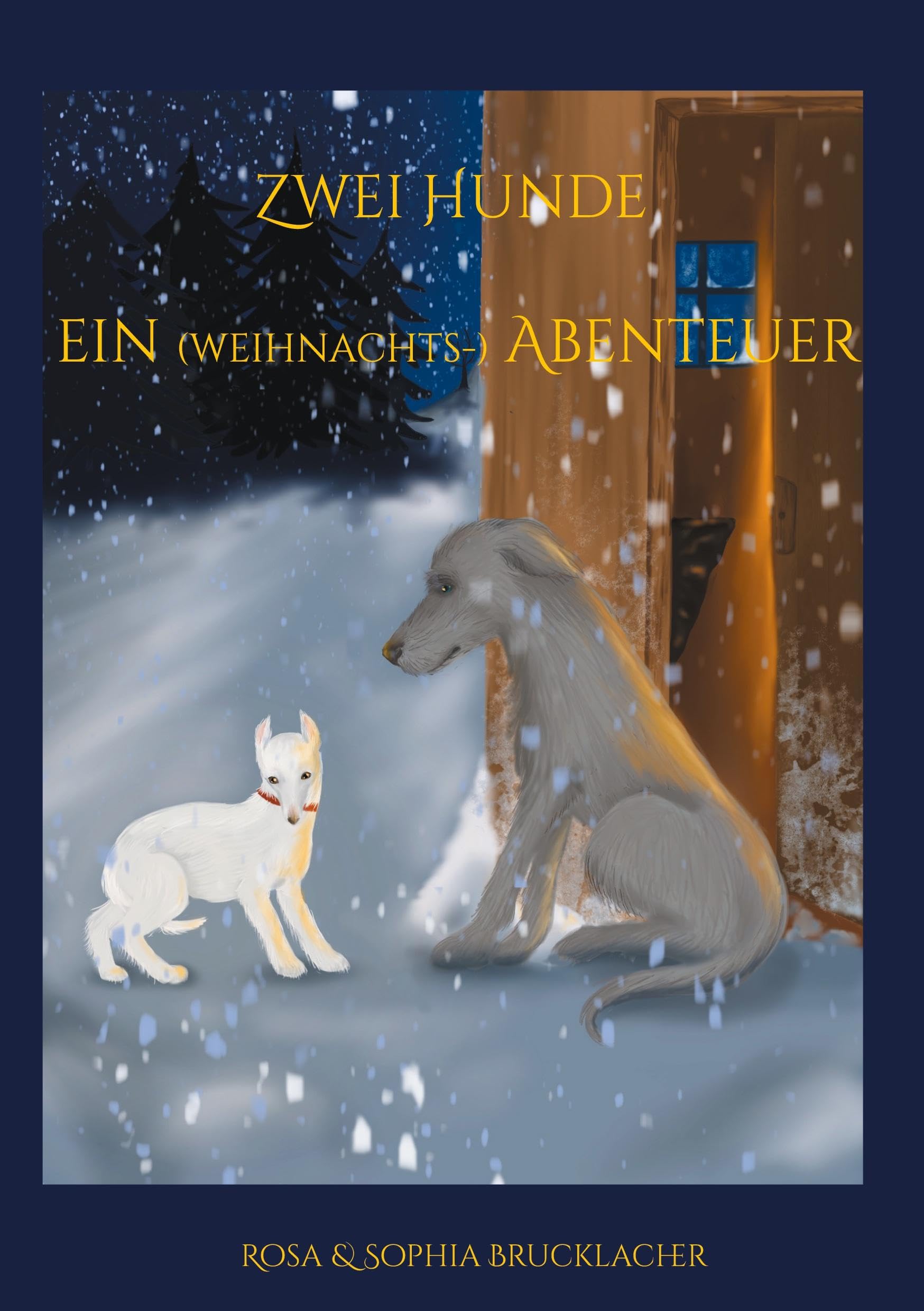 Zwei Hunde ein (weihnachts-) Abenteuer book