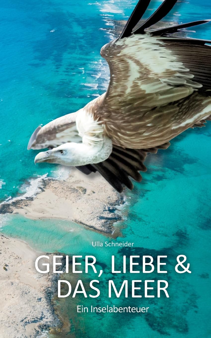 Geier, Liebe und das Meer: Ein Inselabenteuer Contemporary literature