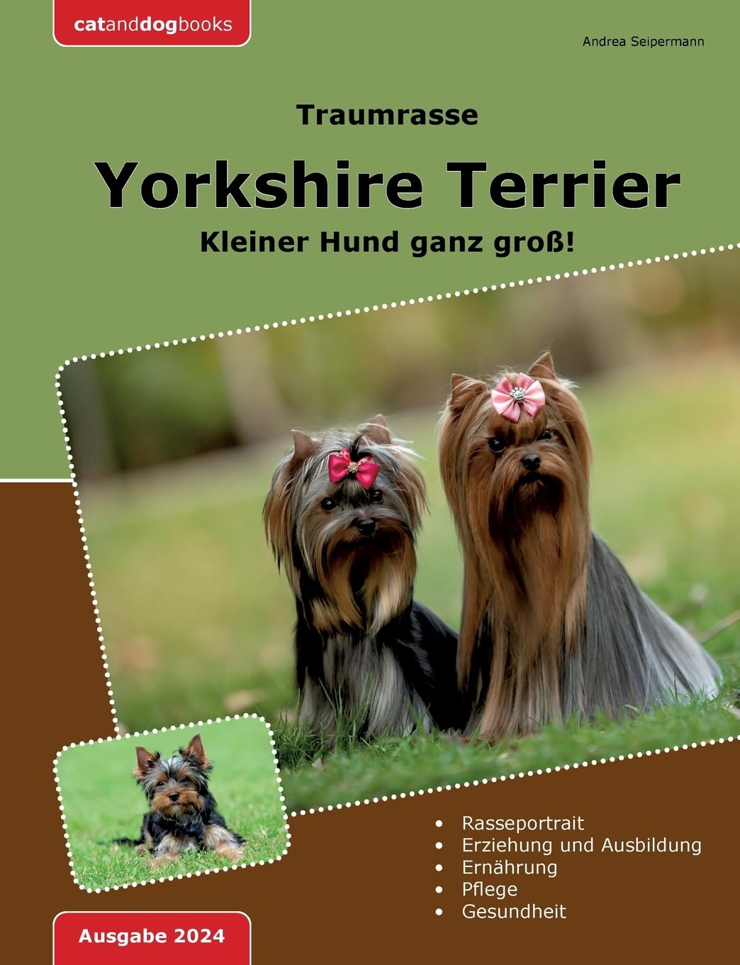 Traumrasse: Yorkshire Terrier: Kleiner Hund ganz groß! Pets