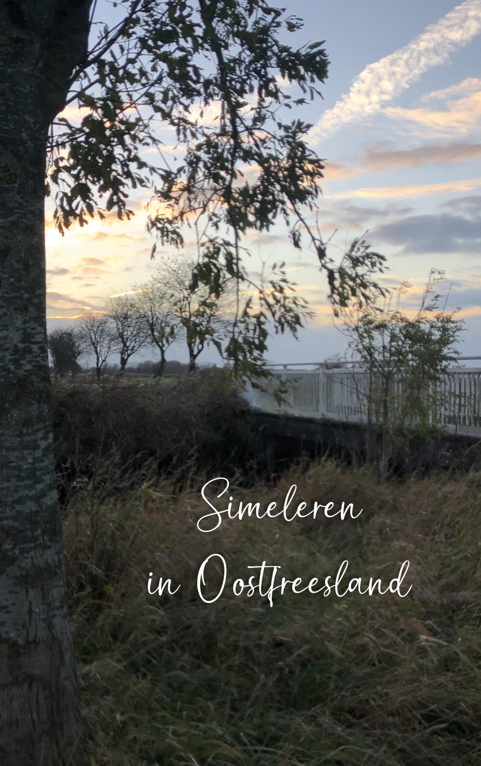Simeleren in Oostfreesland Contemporary literature