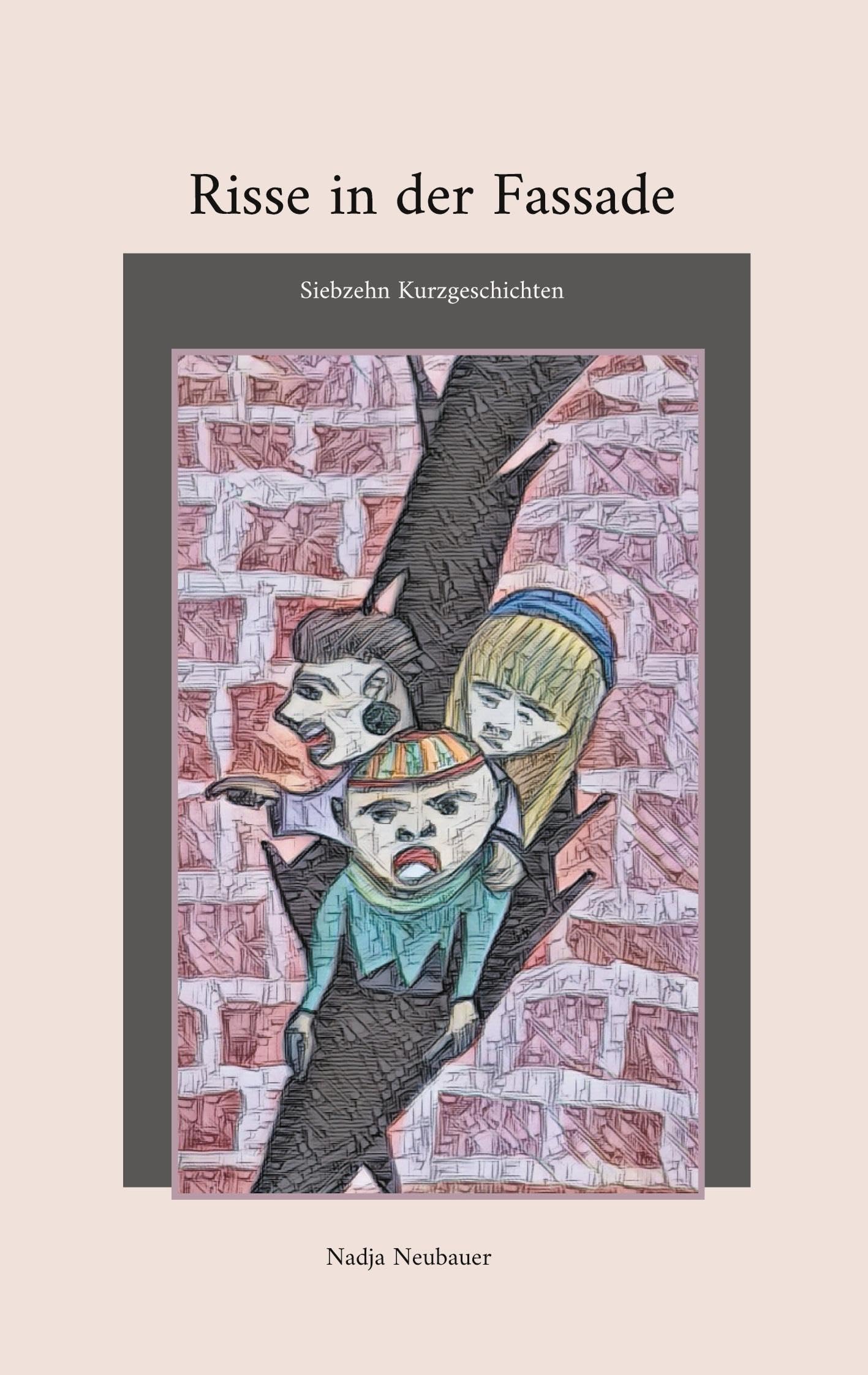 Risse in der Fassade: Siebzehn Kurzgeschichten Contemporary literature