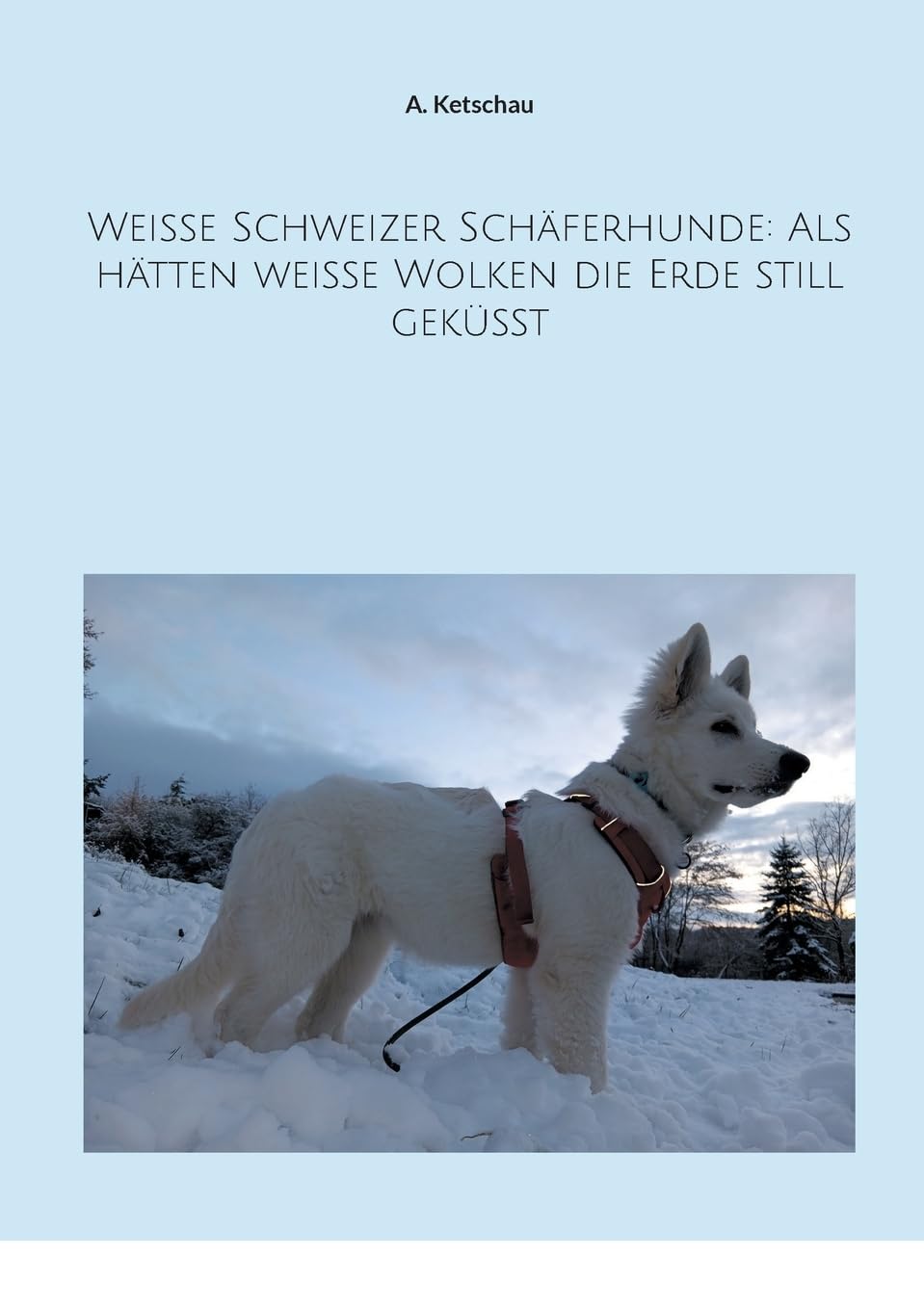 Weiße Schweizer Schäferhunde: Als hätten weiße Wolken die Erde still geküsst Pets