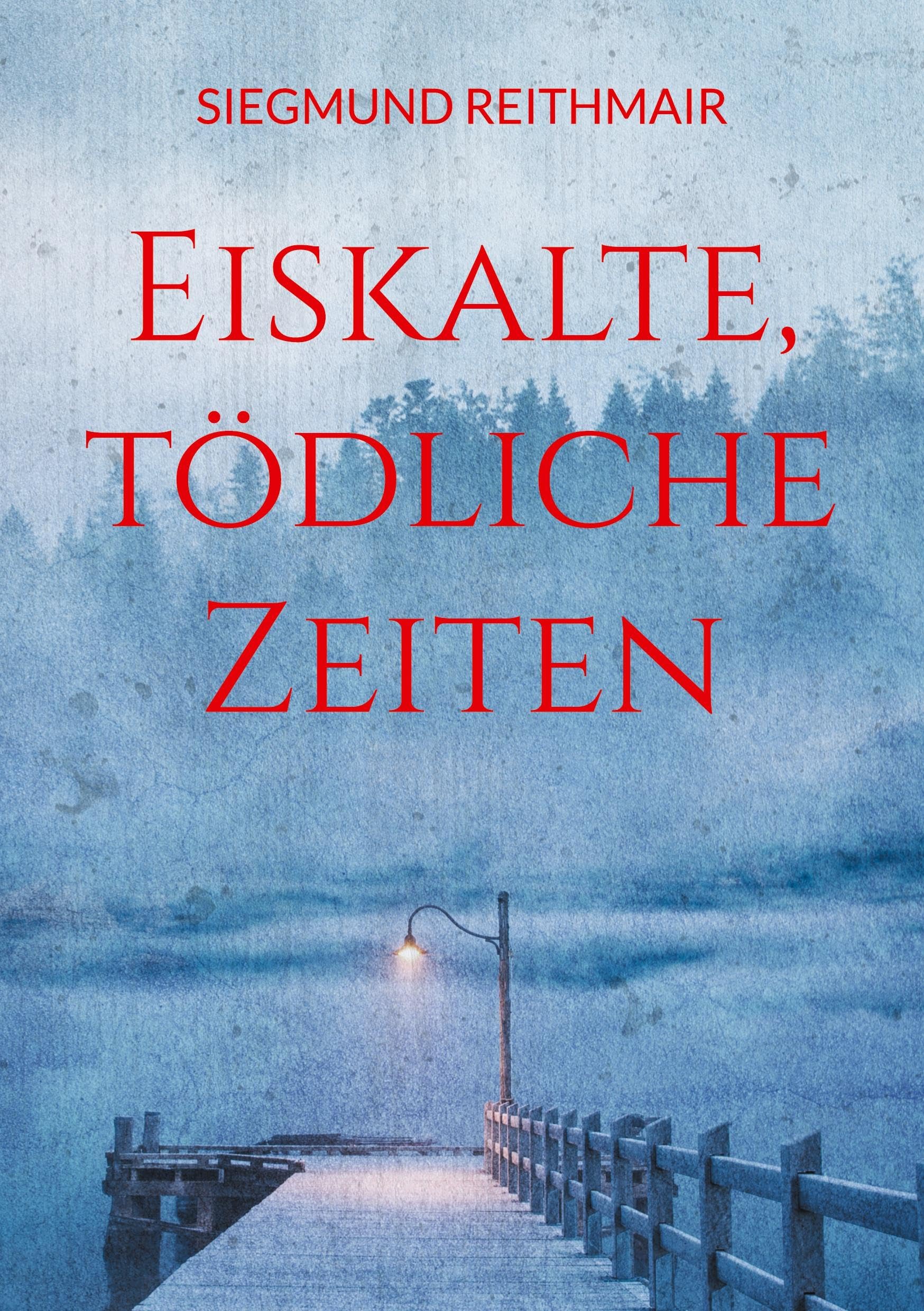 Eiskalte, tödliche Zeiten: Familiensaga 1900-2000 Contemporary literature