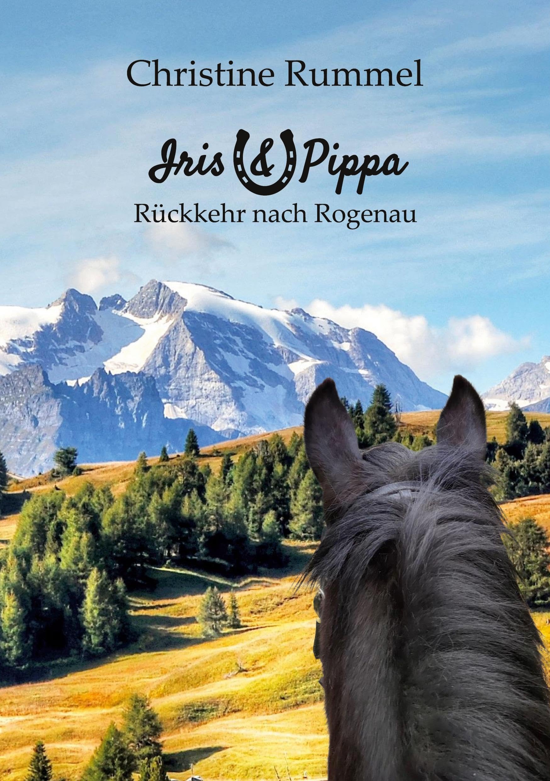 Rückkehr nach Rogenau Contemporary literature