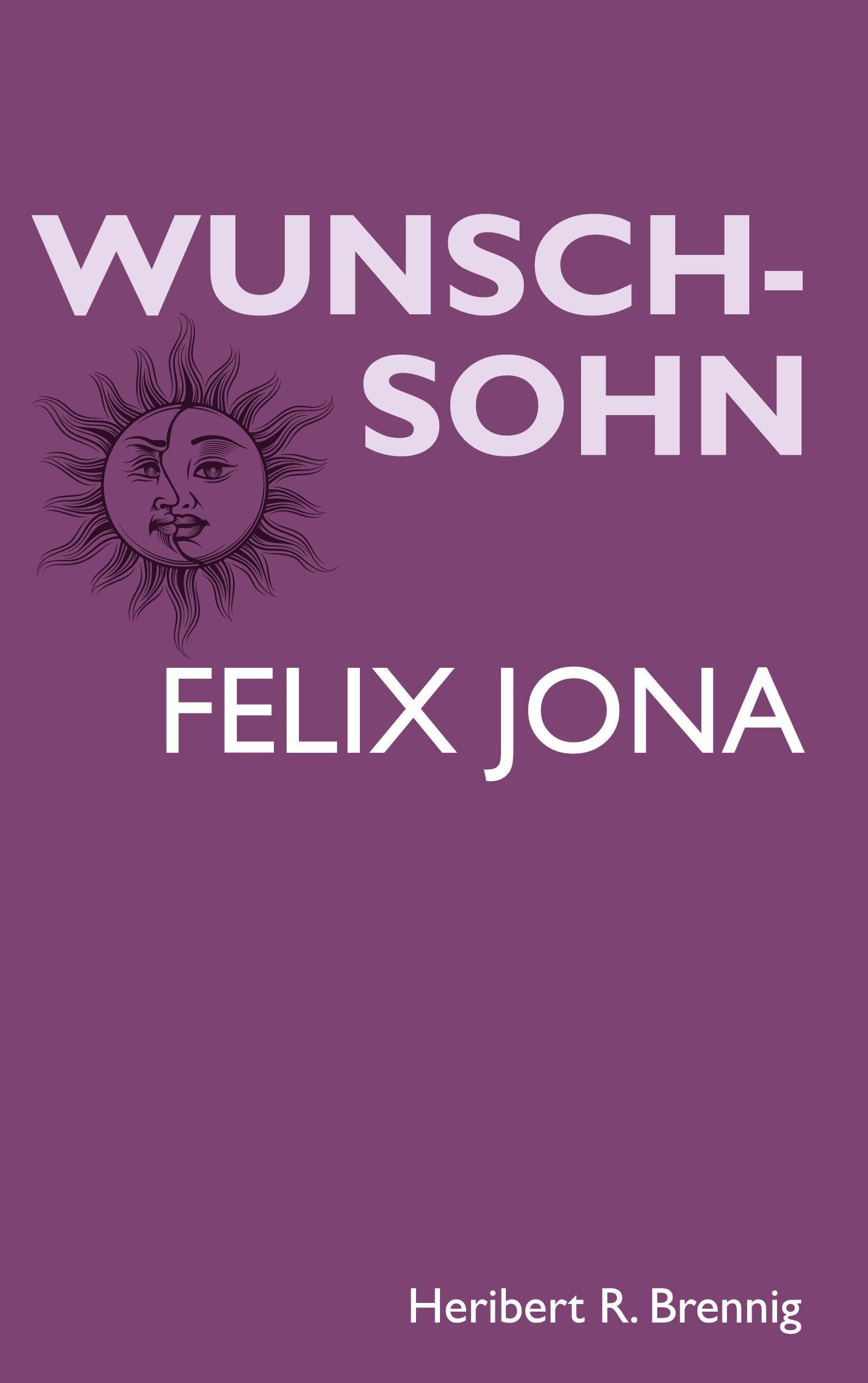 Wunschsohn: Felix Jona Contemporary literature