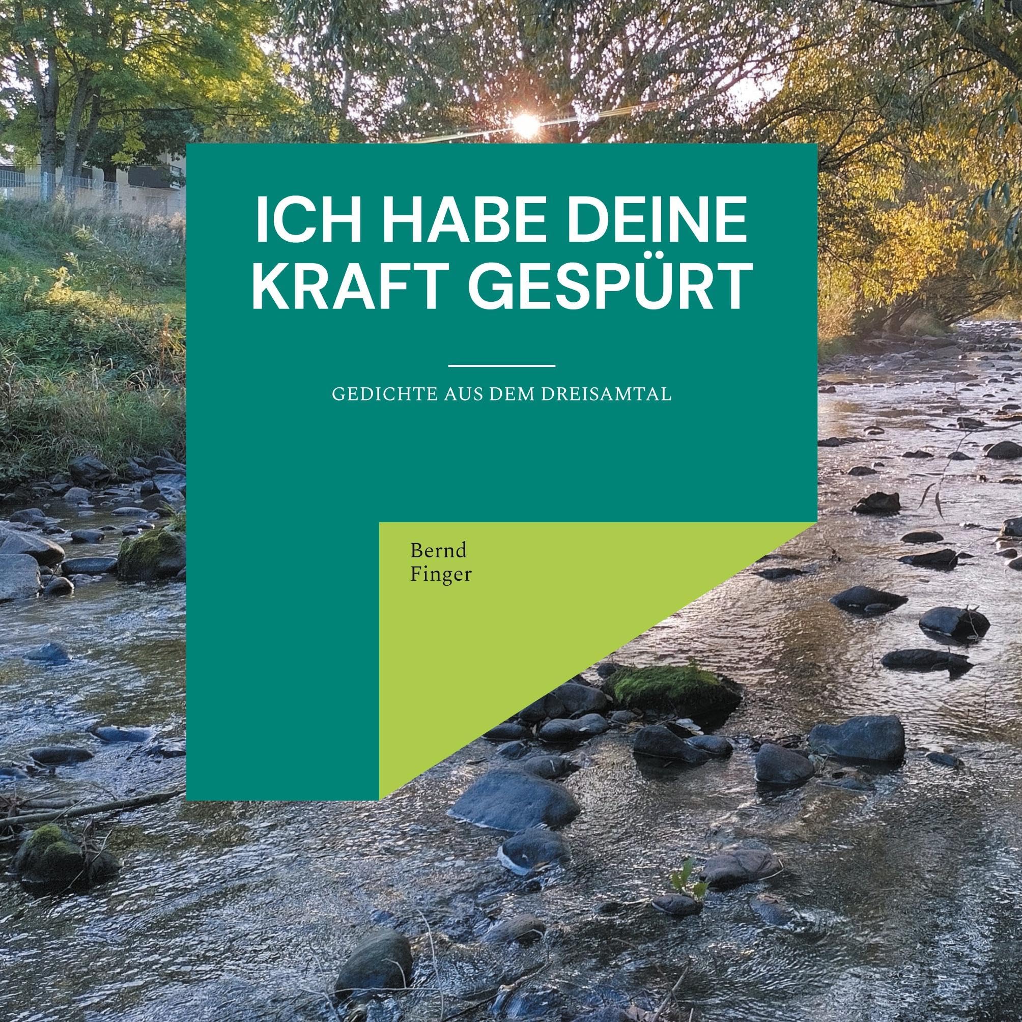Ich habe deine Kraft gespürt: Gedichte aus dem Dreisamtal Poetry