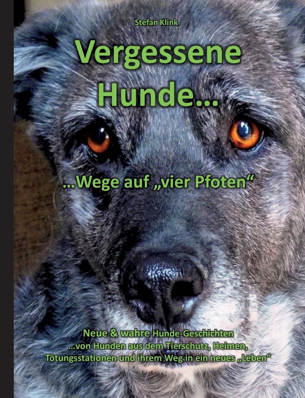 Vergessene Hunde: ...Wege auf "vier Pfoten" (Hund mit Streifen) Mathematics