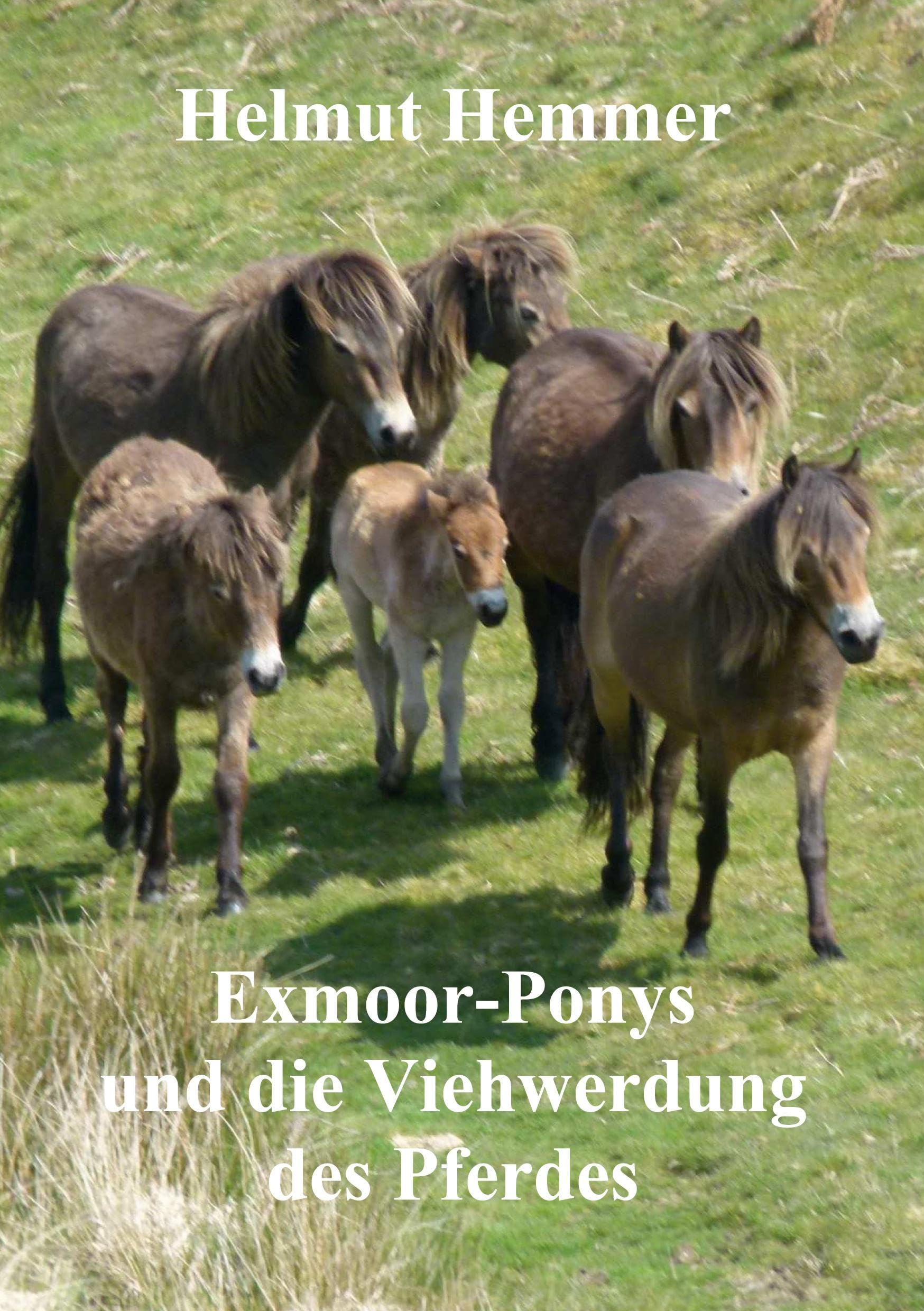 Exmoor-Ponys und die Viehwerdung des Pferdes Natural Sciences