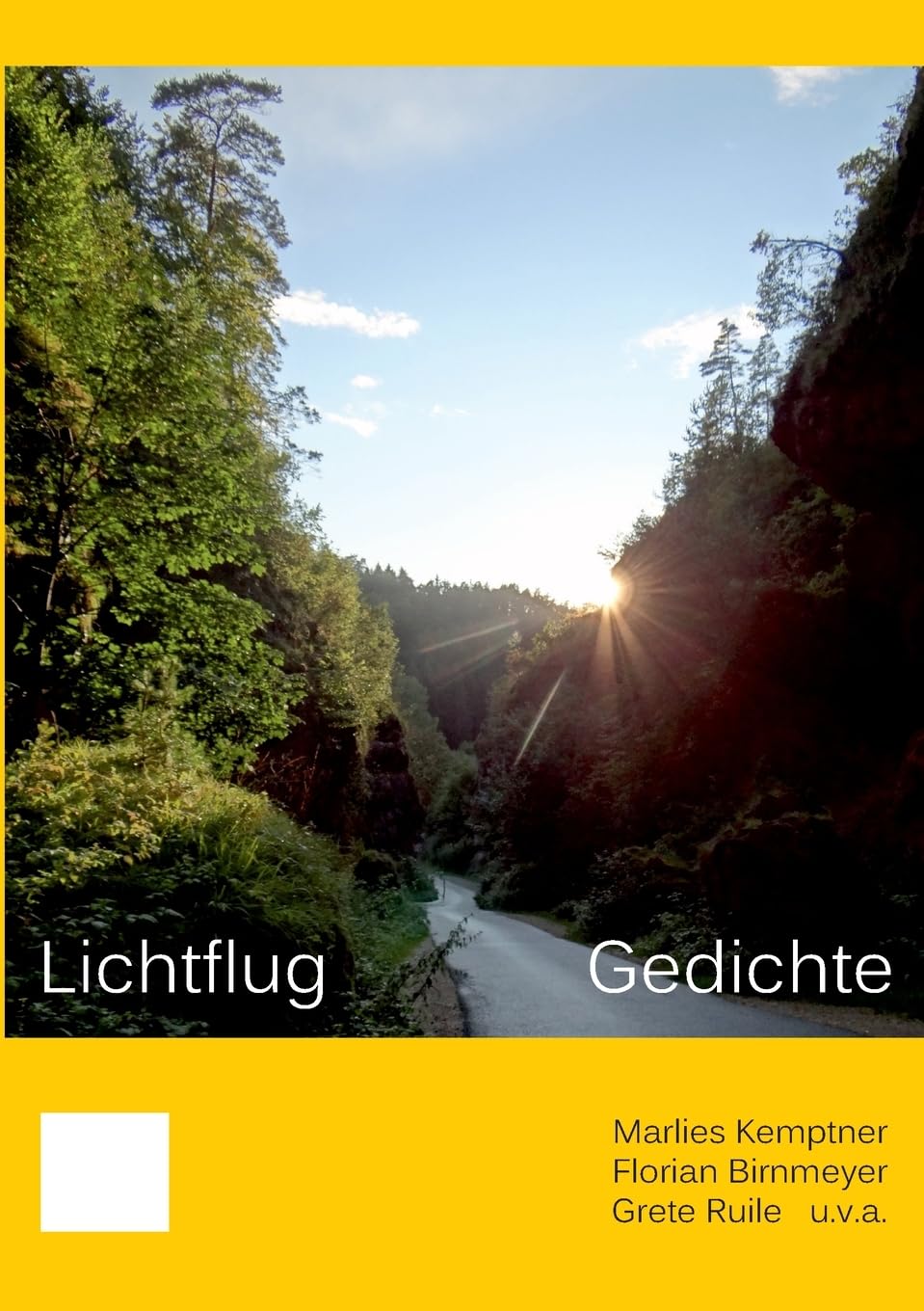 Lichtflug Poetry