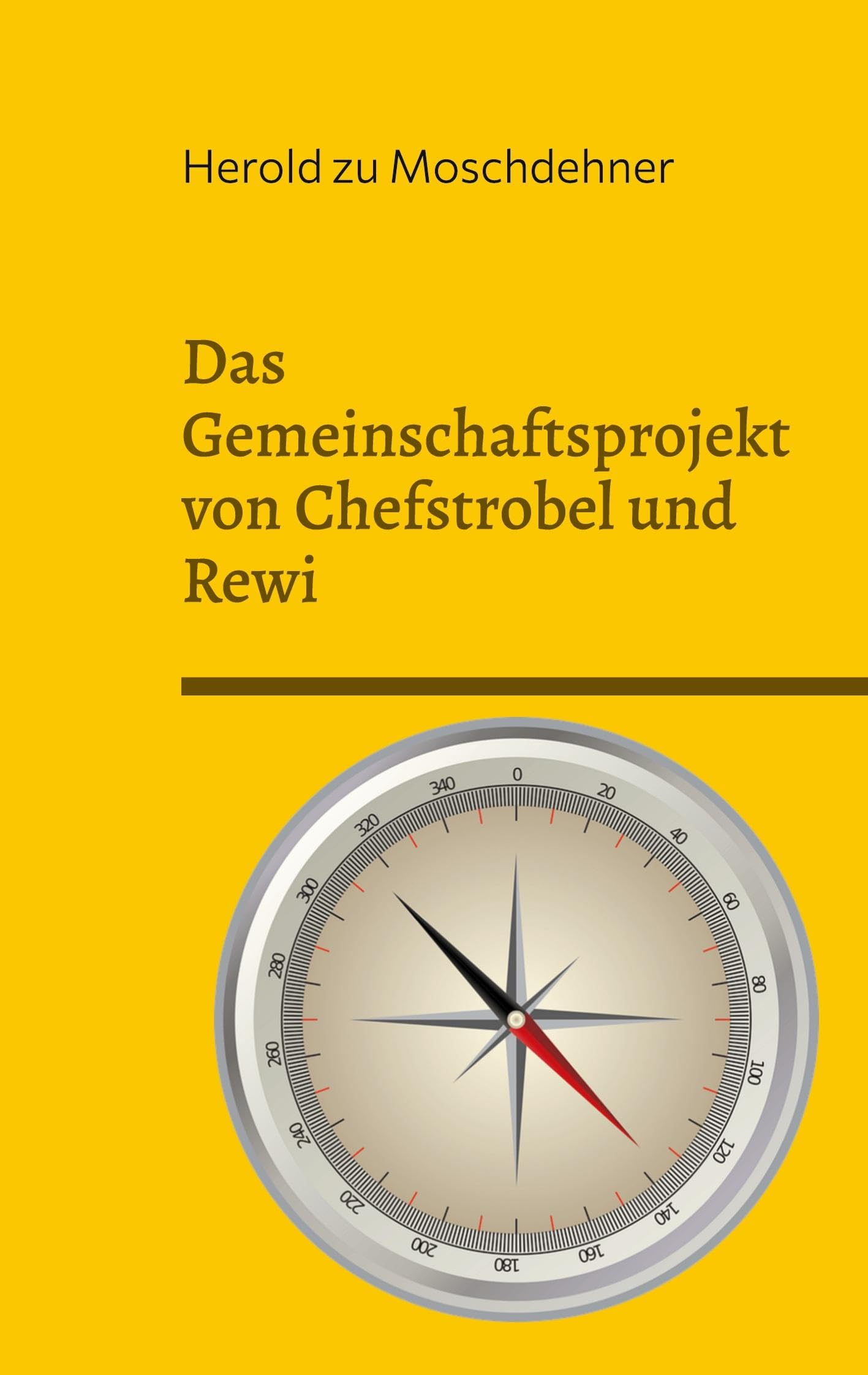 Das Gemeinschaftsprojekt von Chefstrobel und Rewi: Mit dem Kompass ins Glück Religion & Esotericism