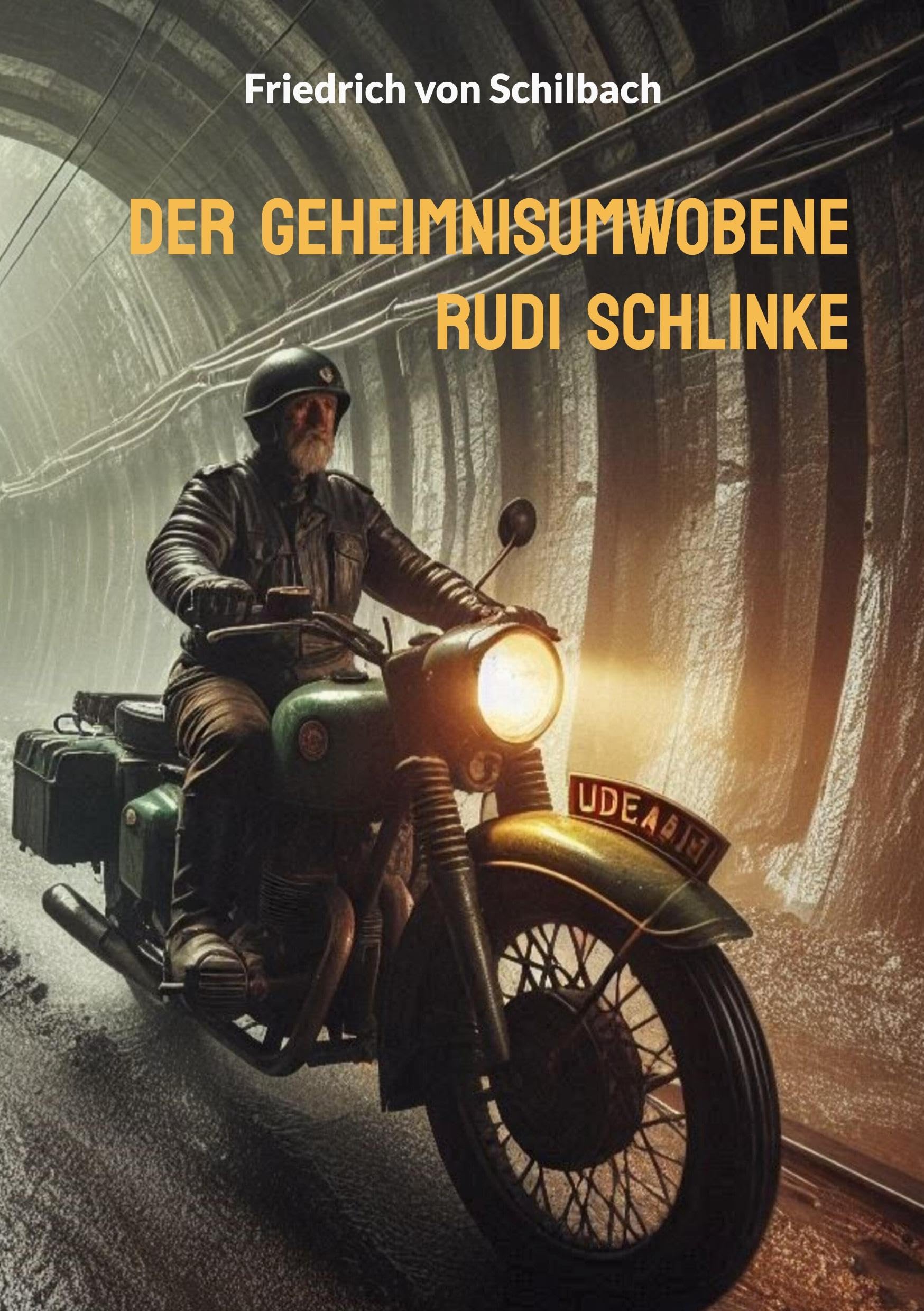 Der geheimnisumwobene Rudi Schlinke Contemporary literature